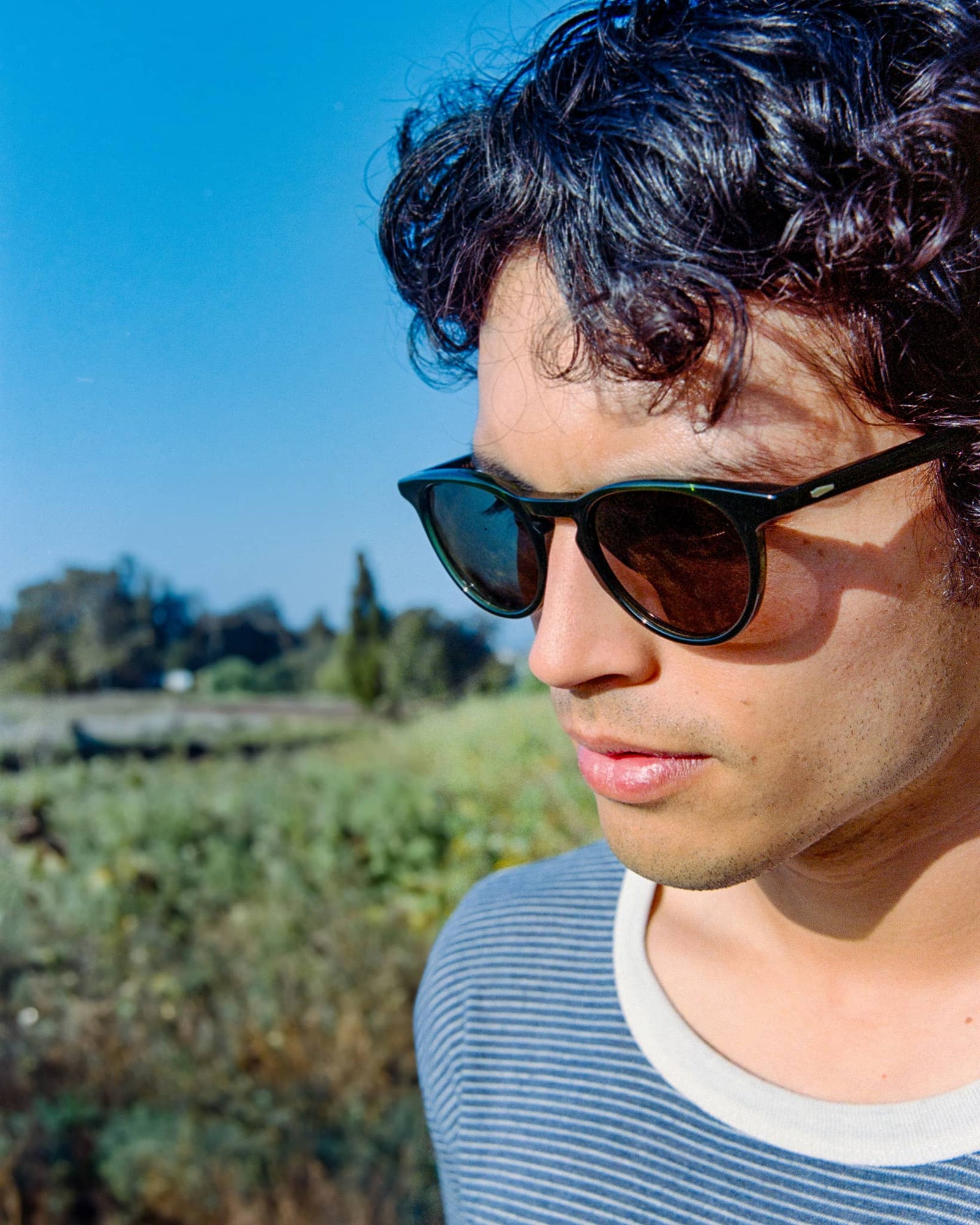 -The Stereo Cult - Midnight Pine Bio-4