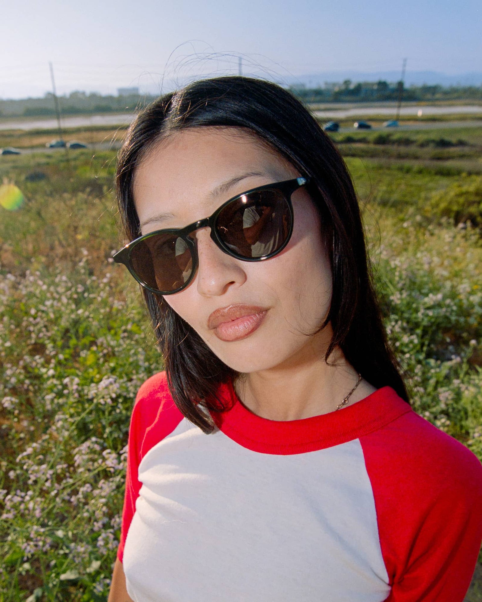 -The Stereo Cult - Midnight Pine Bio-5