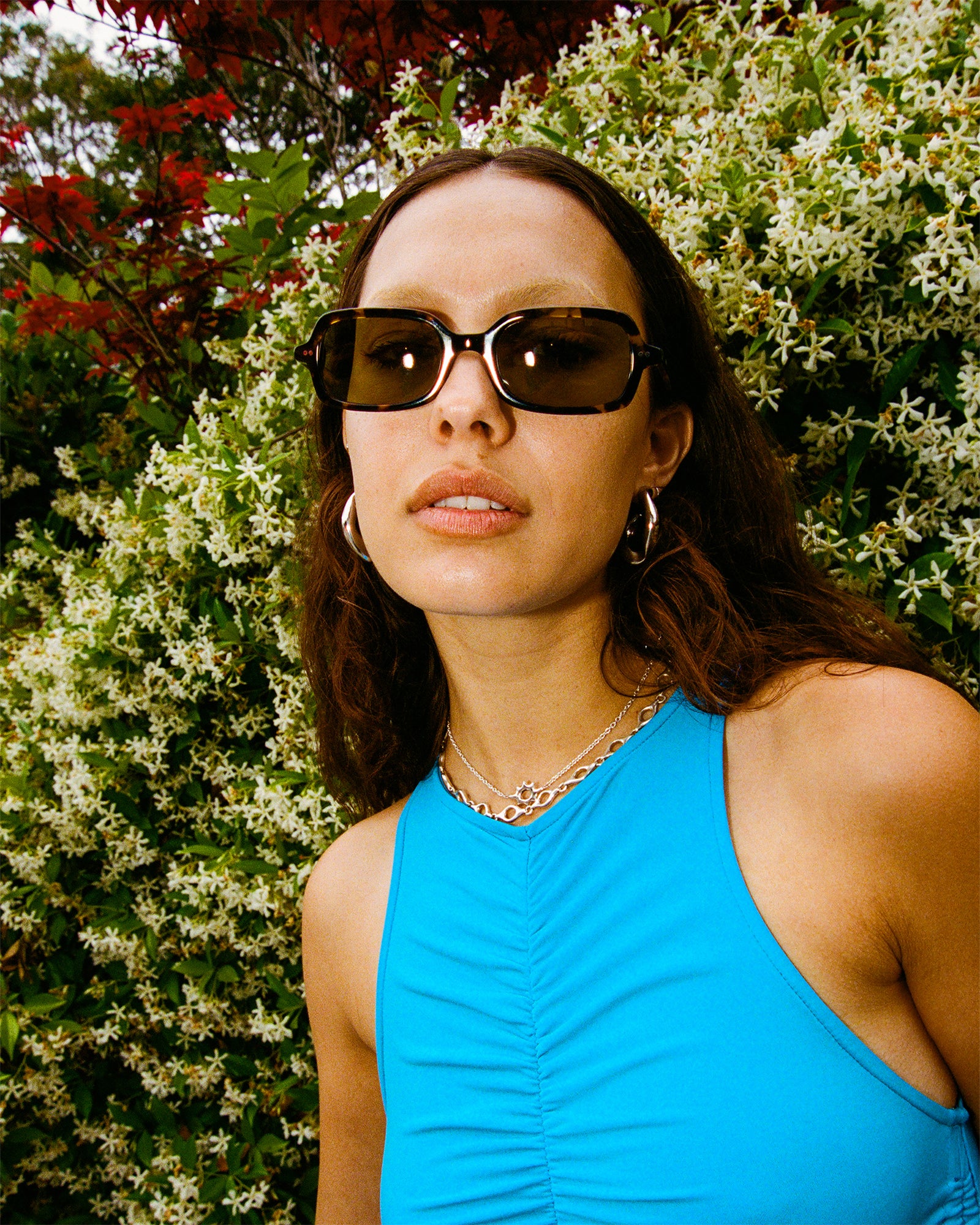 The Dream Cassette - Lunar Tortoise Bio Polarized-The Dream Cassette - Lunar Tortoise Bio Polarized-4