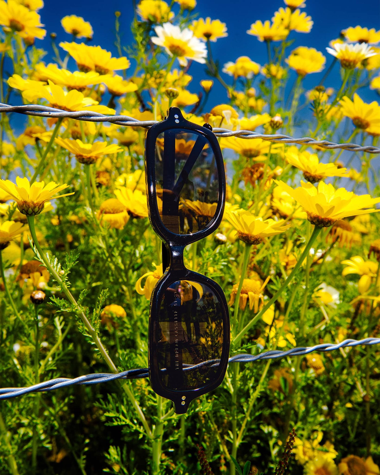 The Dream Cassette - Black Bio Polarized-The Dream Cassette - Black Bio Polarized-7