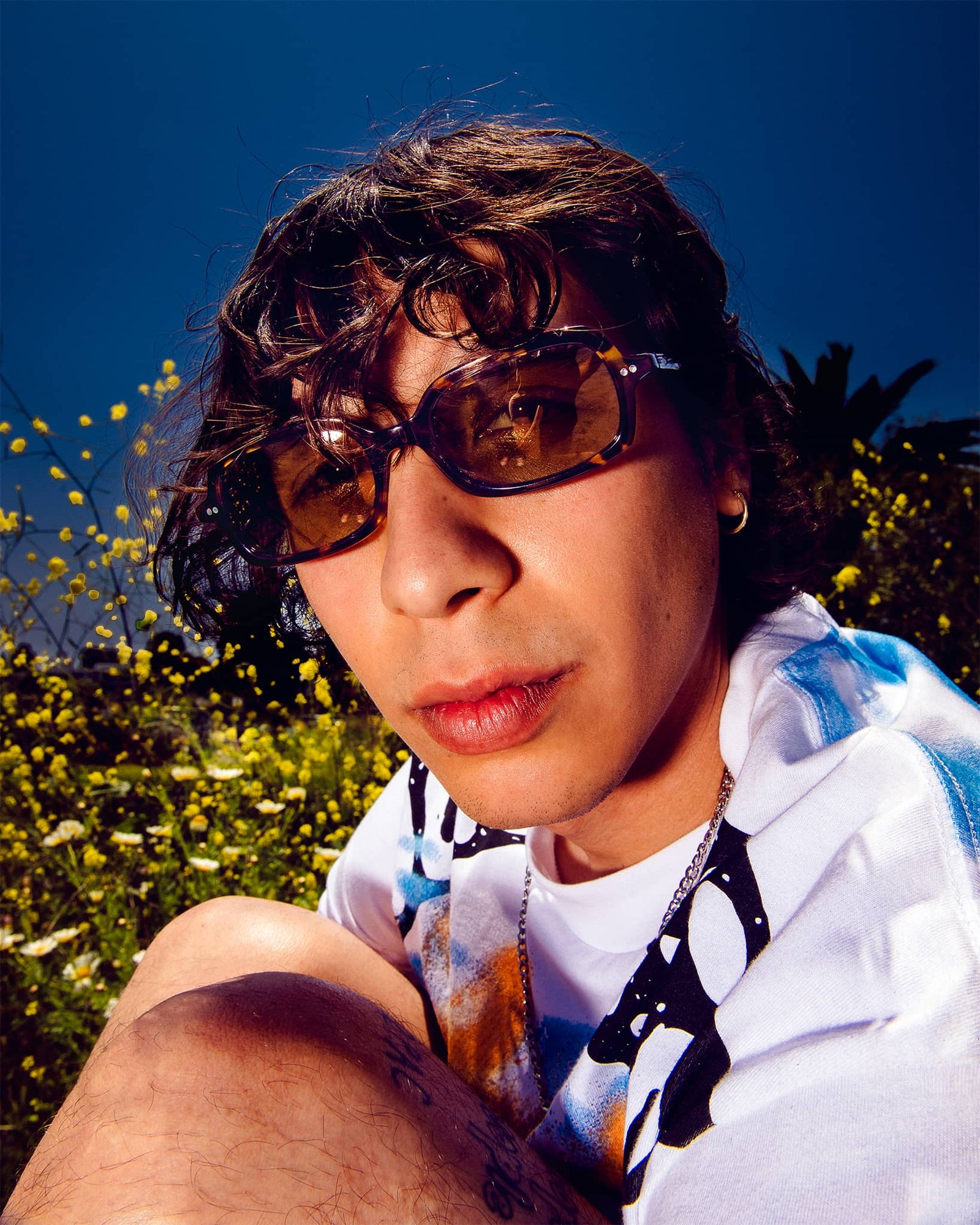 The Dream Cassette - Lunar Tortoise Bio Polarized-The Dream Cassette - Lunar Tortoise Bio Polarized-7