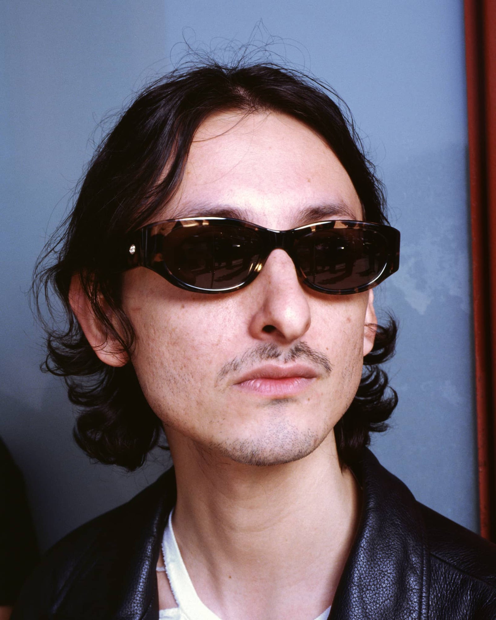 The Funk Punk - Desert Tortoise Bio Polarized-The Funk Punk - Desert Tortoise Bio Polarized-5