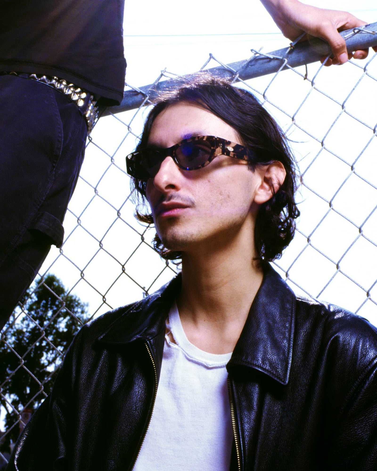 The Funk Punk - Desert Tortoise Bio Polarized-The Funk Punk - Desert Tortoise Bio Polarized-6