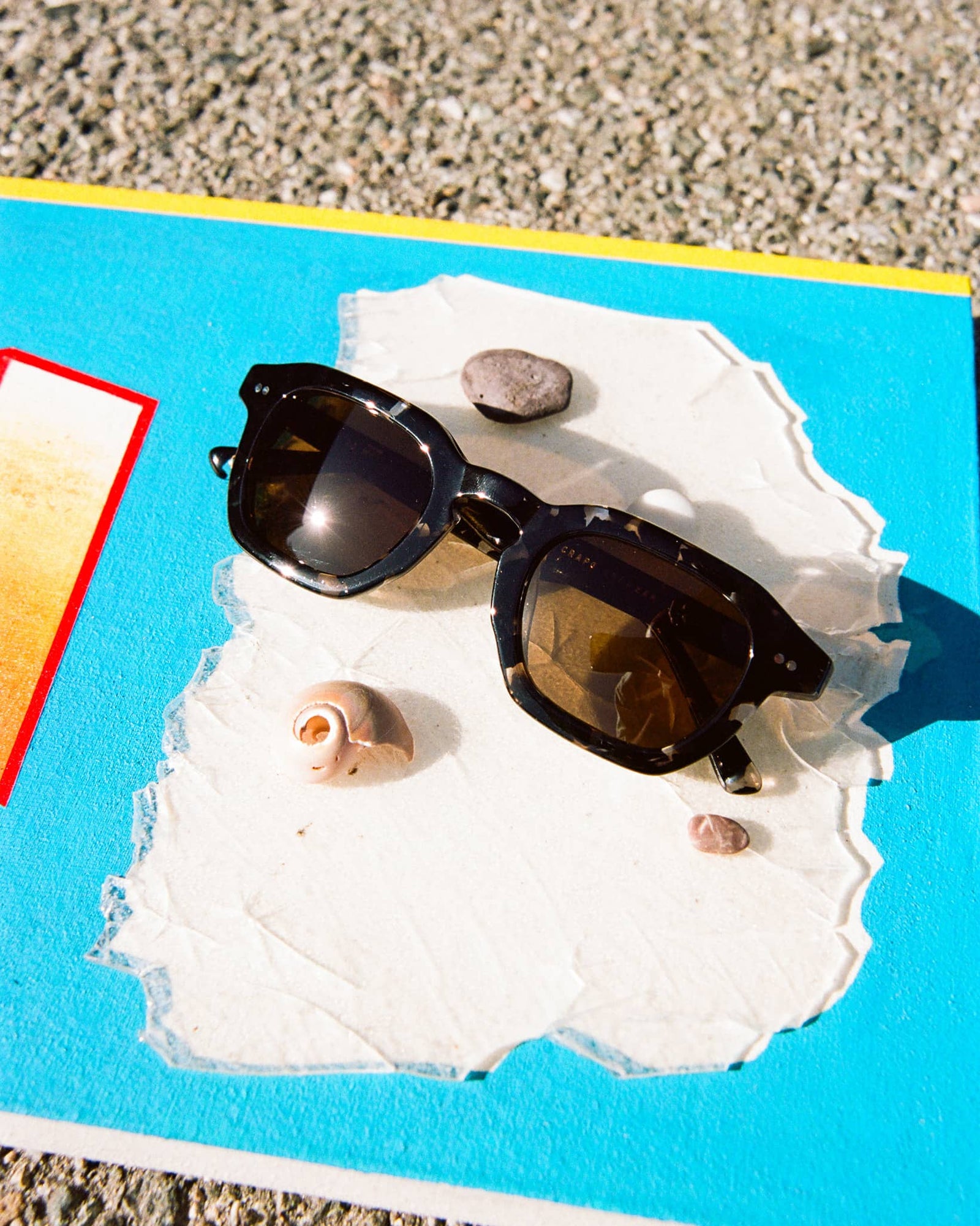 The No Wave - Black Tortoise Bio Polarized-The No Wave - Black Tortoise Bio Polarized-3