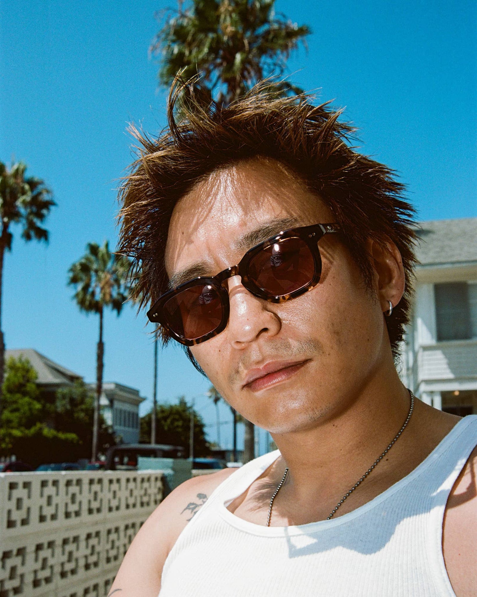 The No Wave - Desert Tortoise Bio Polarized-The No Wave - Desert Tortoise Bio Polarized-4