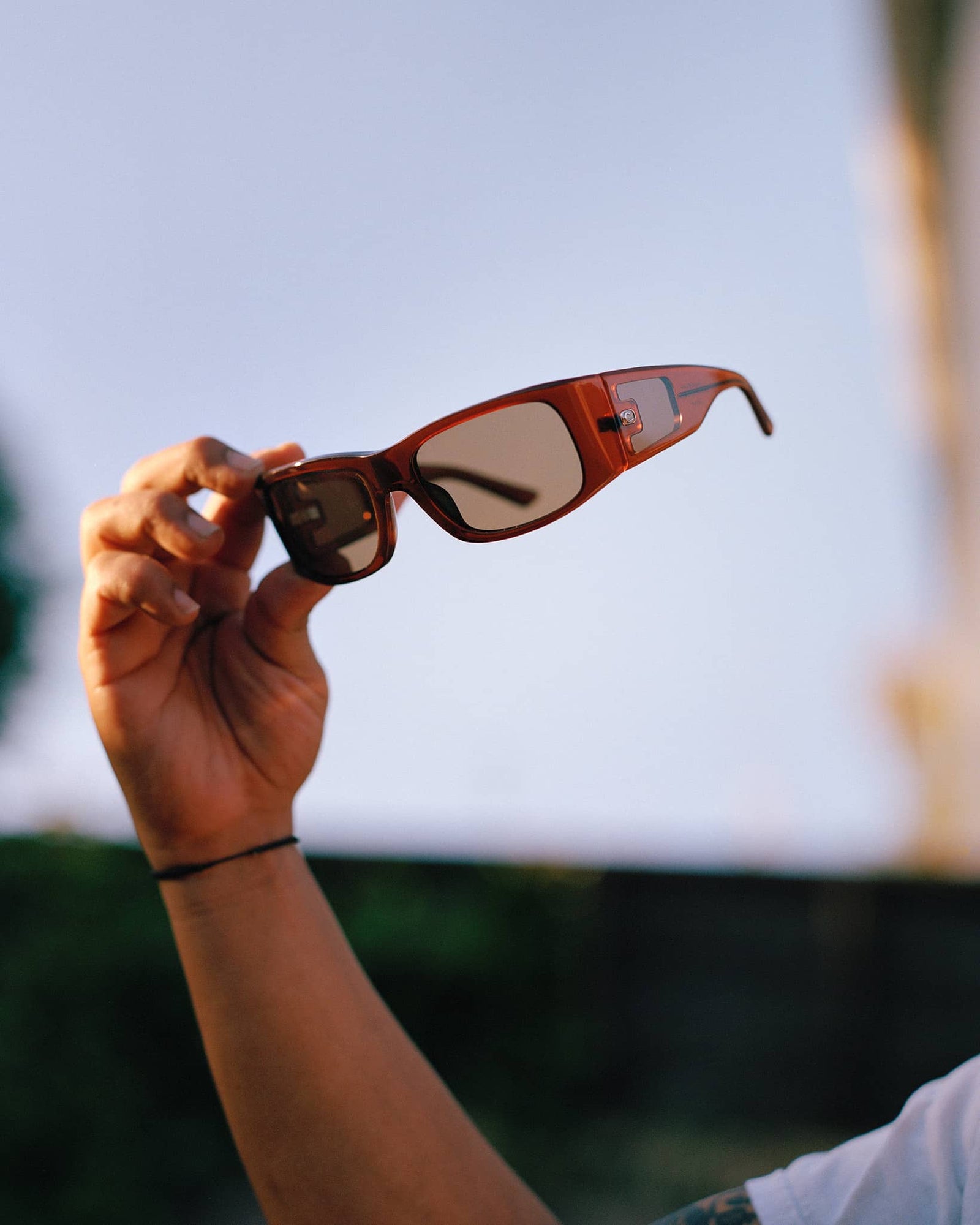 -The Kush Cowboy - Crystal Root Beer Bio-5