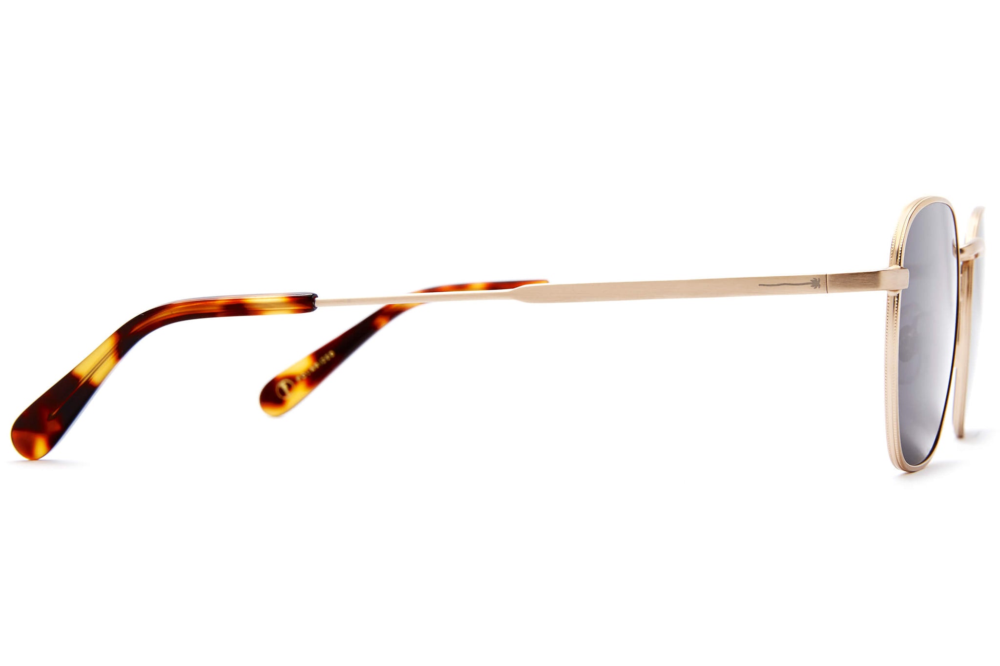 The Groove Pilot - Gold Polarized