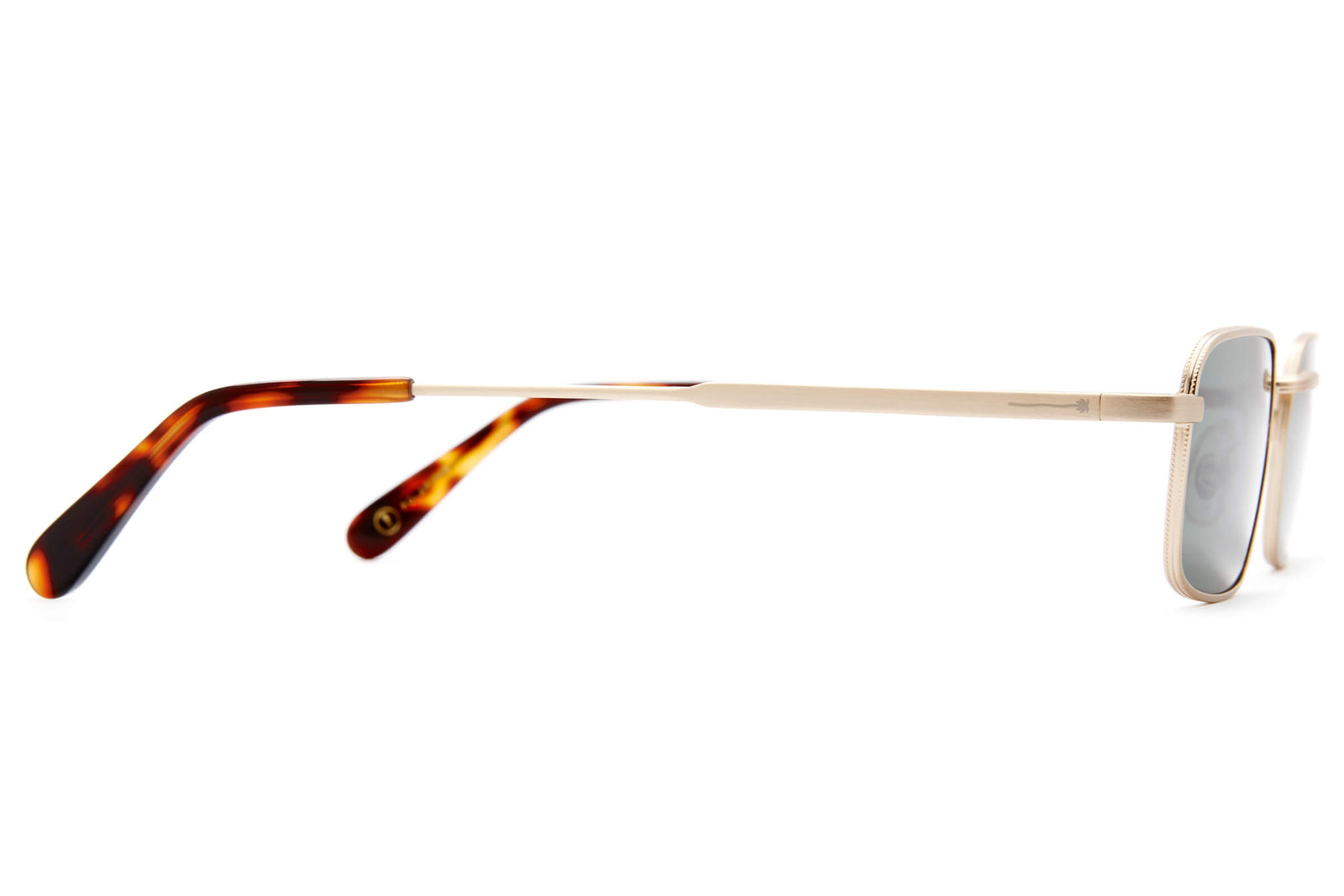 -The Nu Bloom - G15 Polarized-10