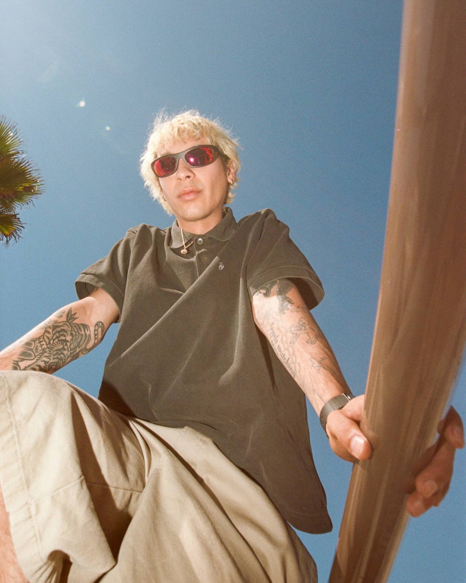 The Chaos Vault - Matte Shadow Bio-The Chaos Vault - Matte Shadow Bio-4