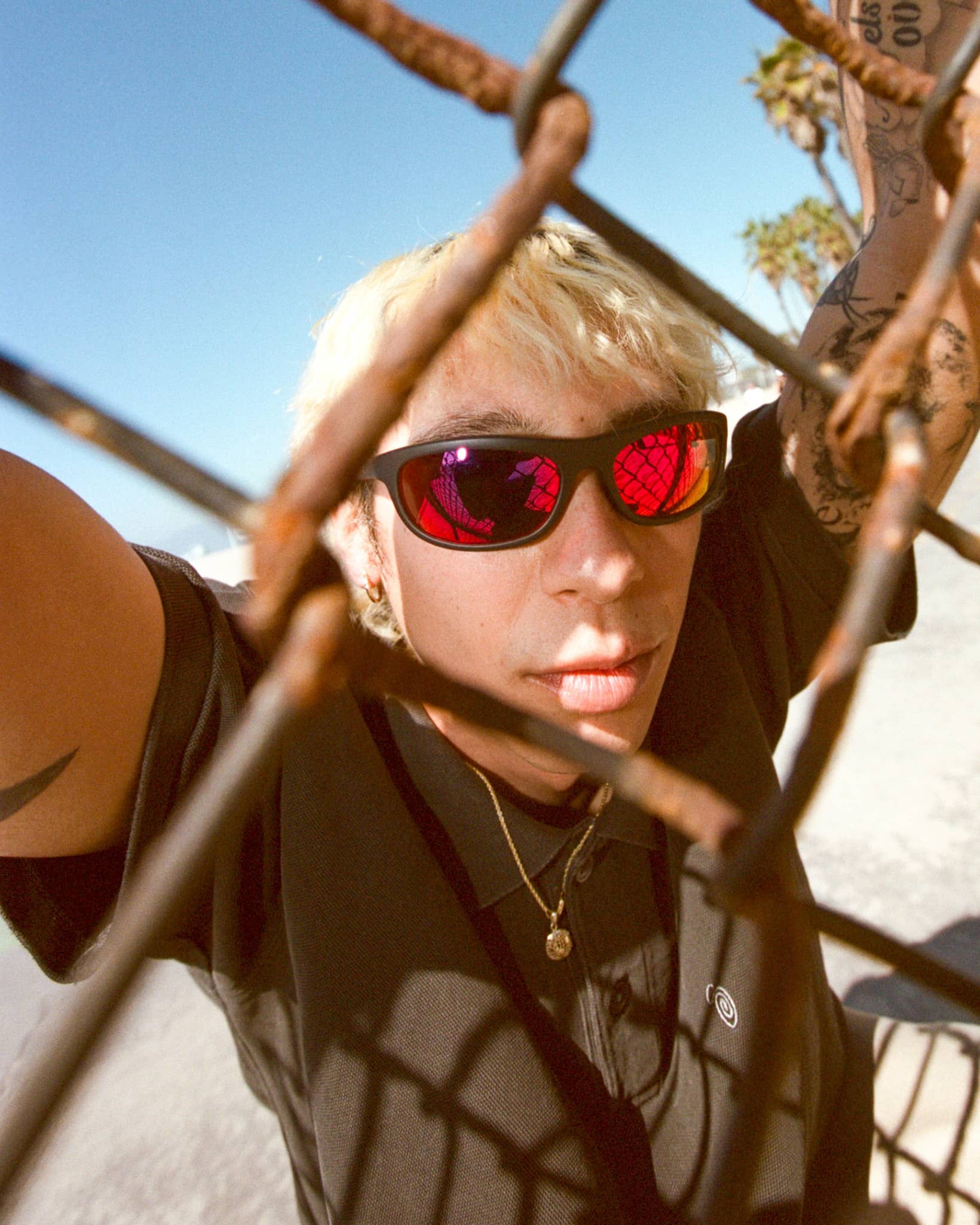 The Chaos Vault - Matte Shadow Bio-The Chaos Vault - Matte Shadow Bio-3