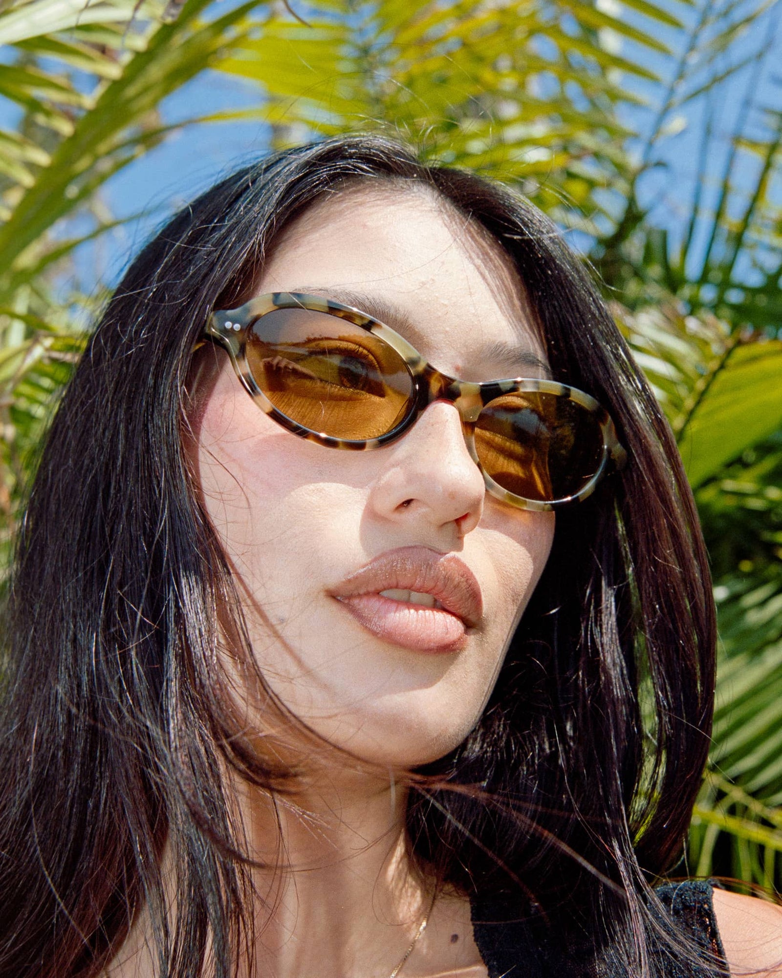The Marquee Rox - Jaguar Tortoise Bio Polarized-The Marquee Rox - Jaguar Tortoise Bio Polarized-3