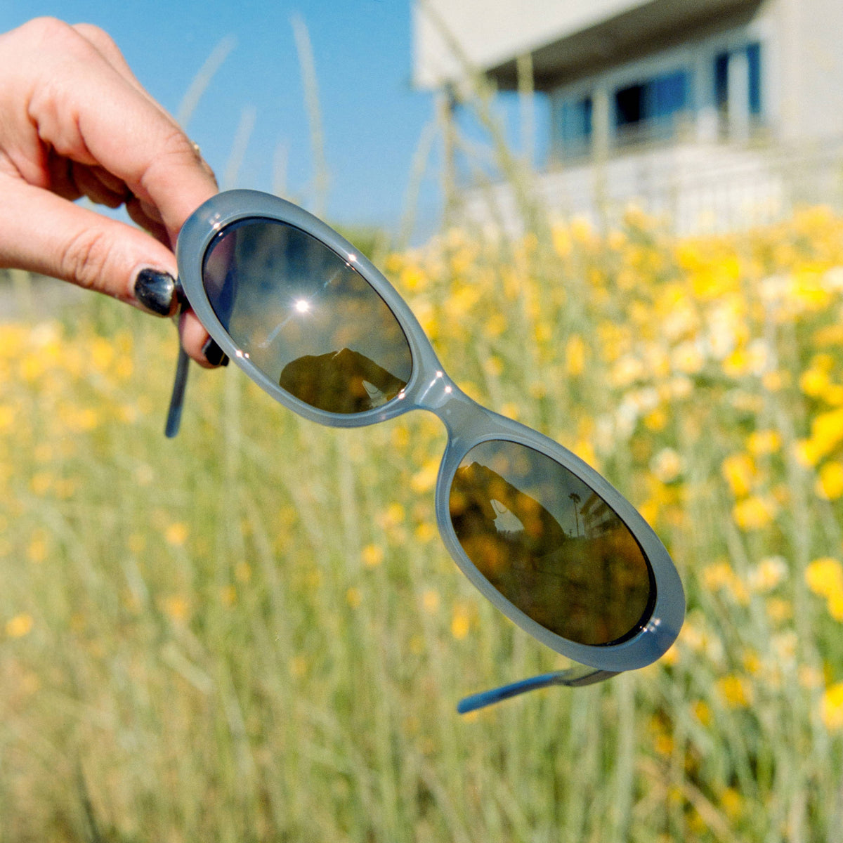 2025_Summer-Product-