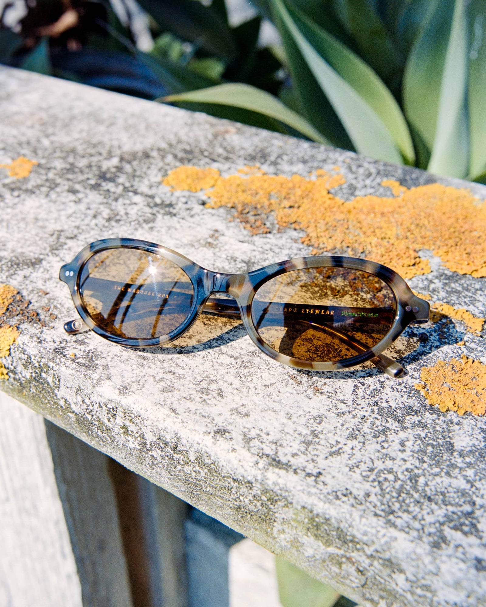 The Marquee Rox - Jaguar Tortoise Bio Polarized-The Marquee Rox - Jaguar Tortoise Bio Polarized-5
