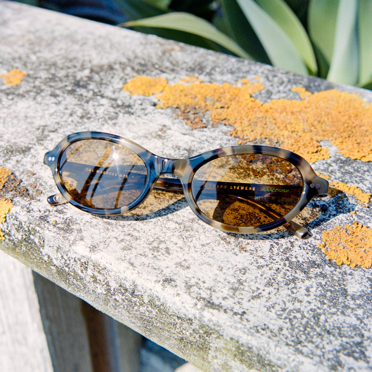 Crap® Eyewear | The Marquee Rox Jaguar Tortoise Bio