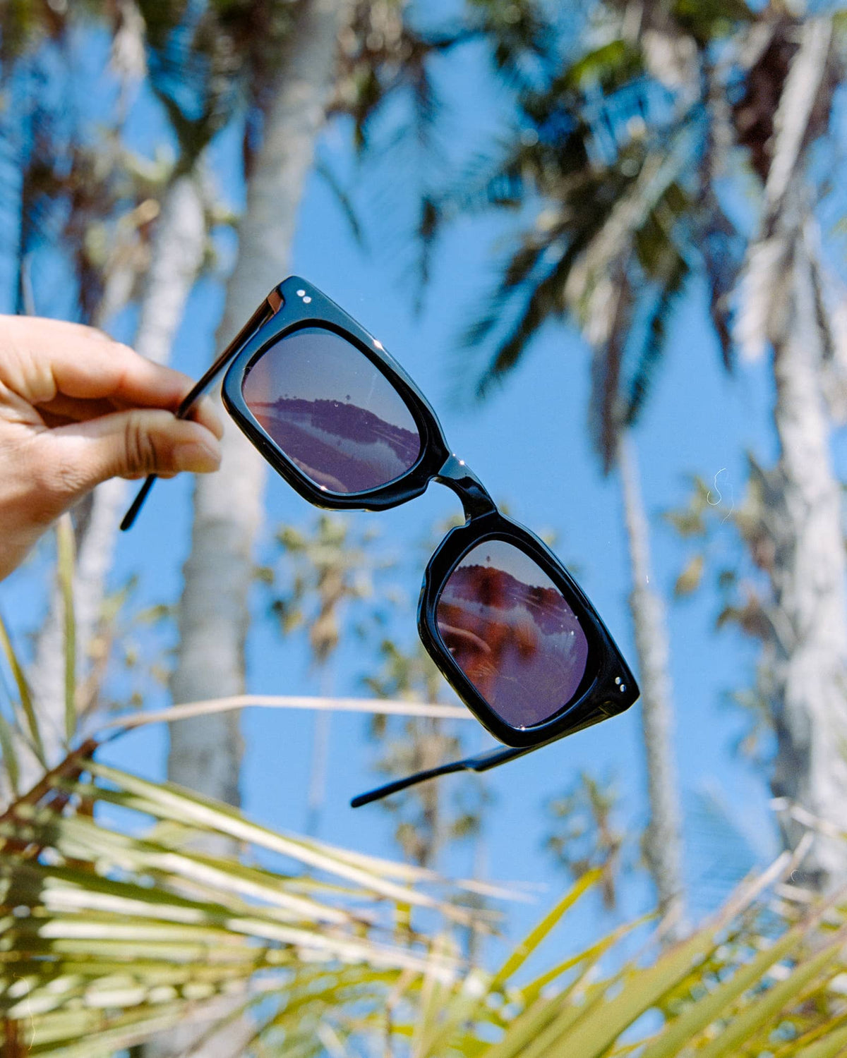 2025_Summer-Product-Radio_Haze