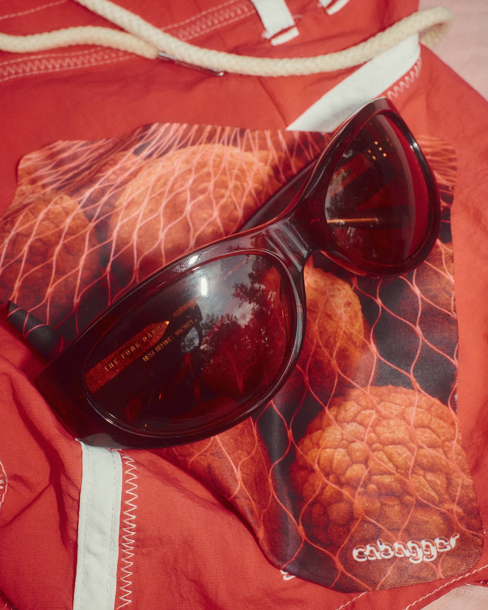 The Funk Daddy - Cabagges Lychee Tortoise Bio-The Funk Daddy - Cabagges Lychee Tortoise Bio-9