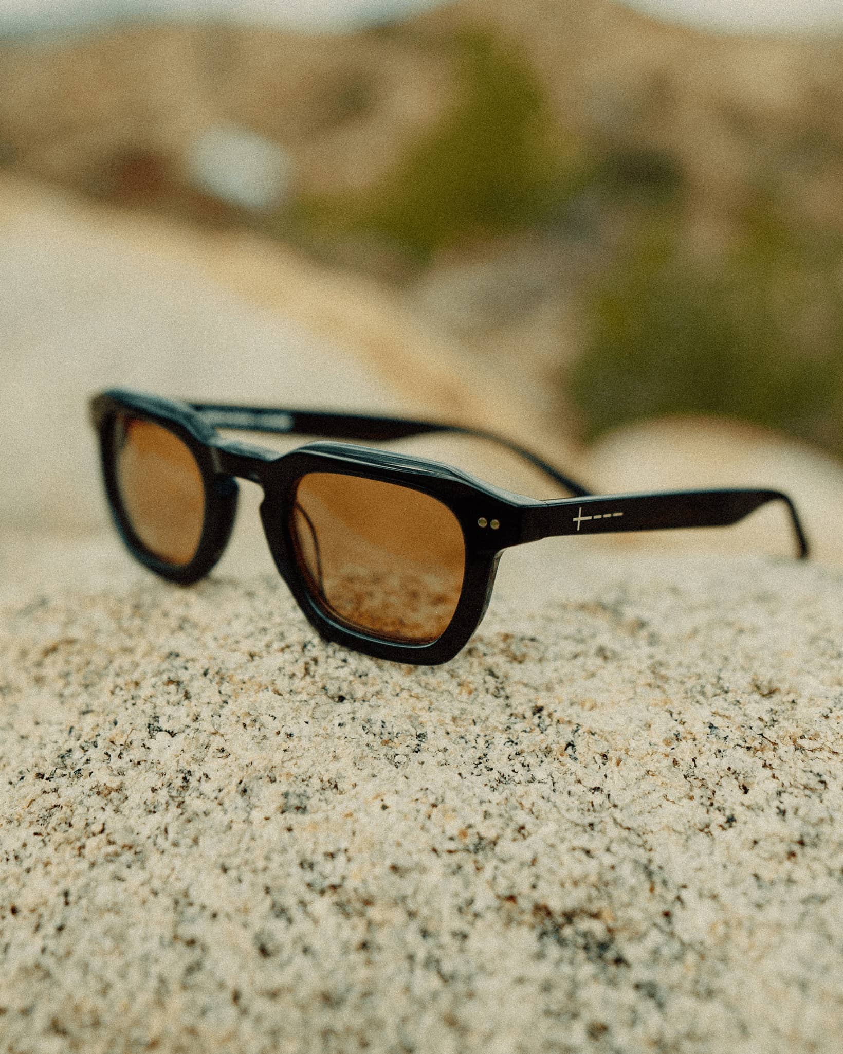 -The No Wave - Knocked Loose Shadow Bio-7