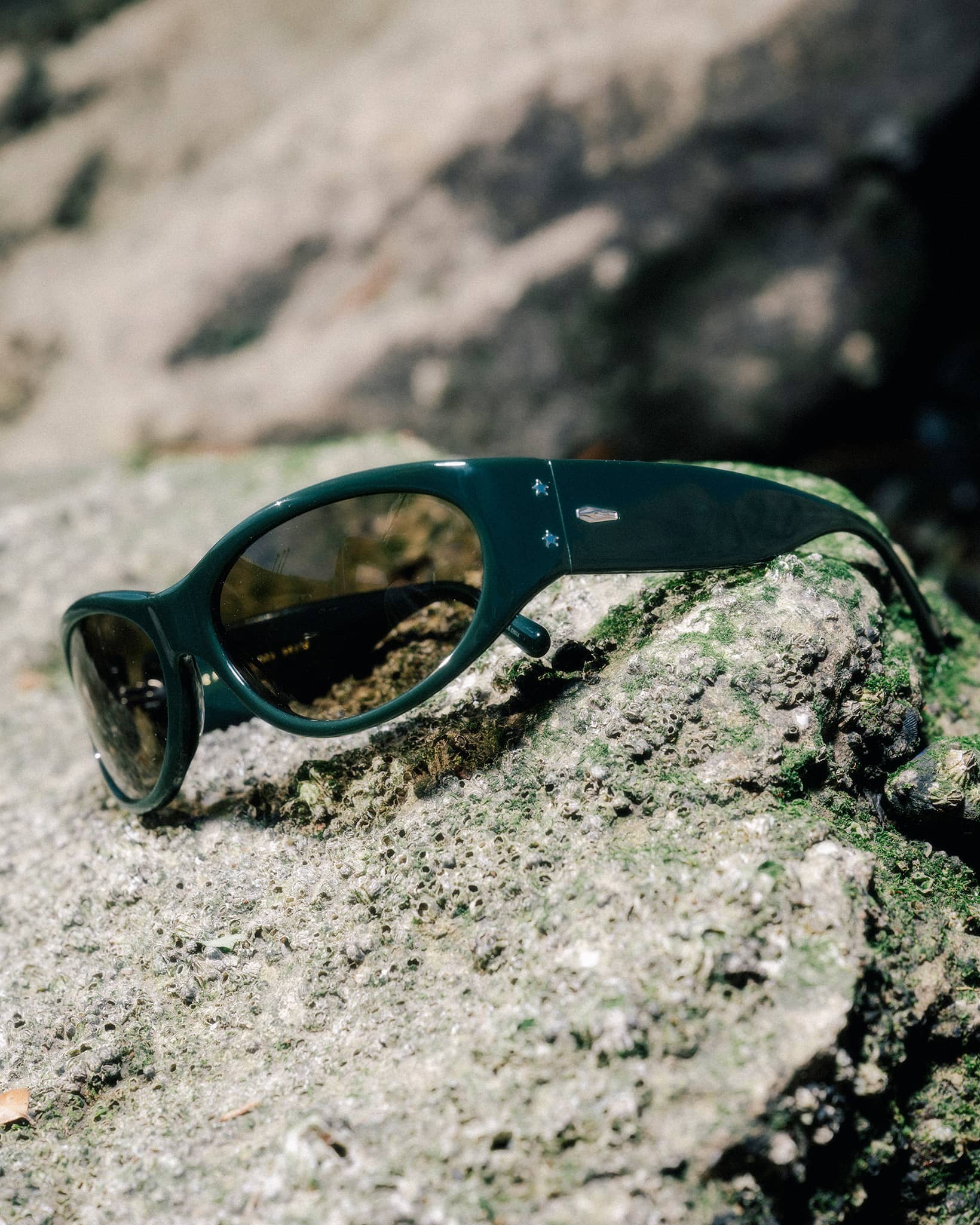 -The Funk Daddy - Oblivion Midnight Forest Bio Polarized-5