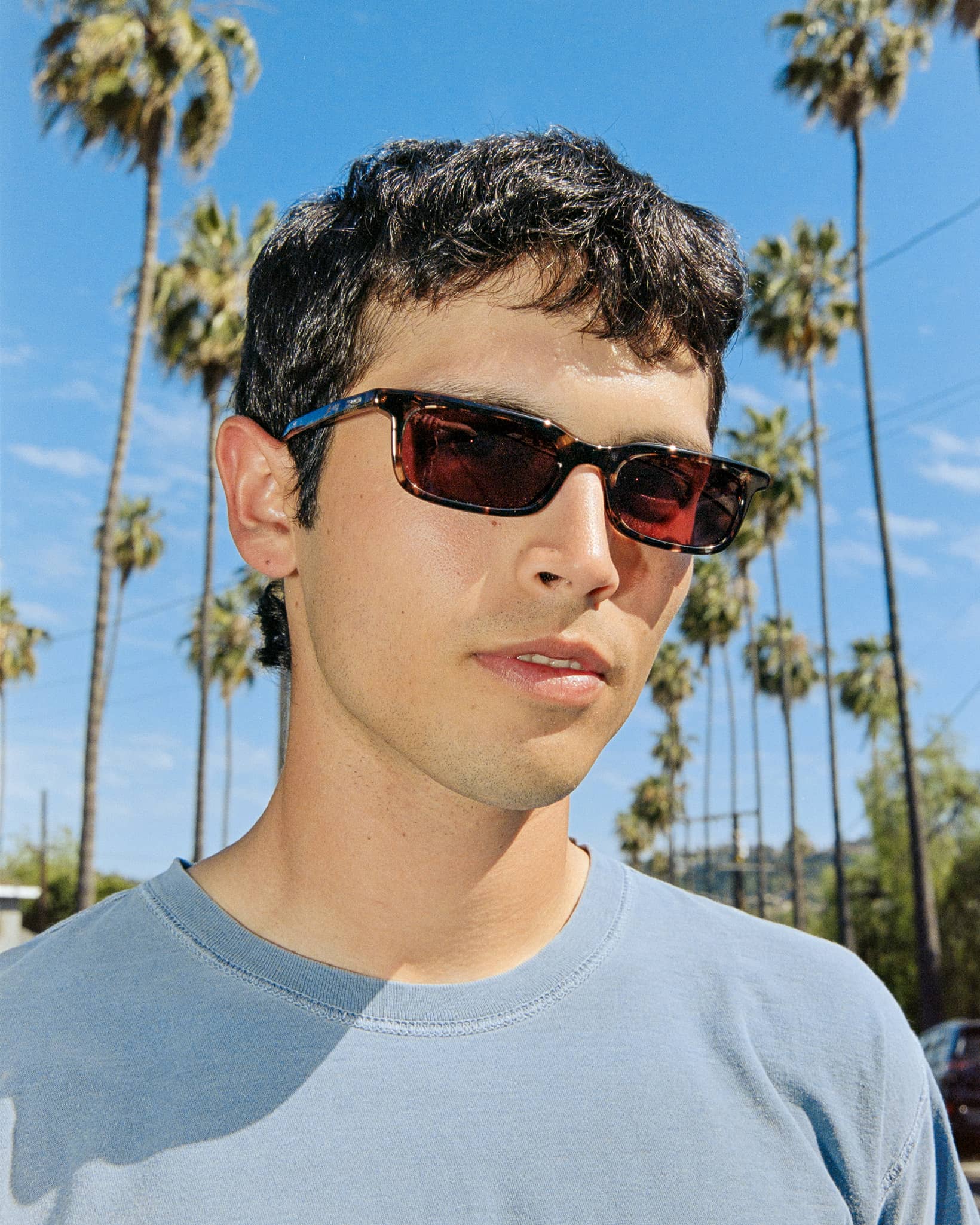 The Idle Daze - Desert Tortoise Bio Polarized-The Idle Daze - Desert Tortoise Bio Polarized-4