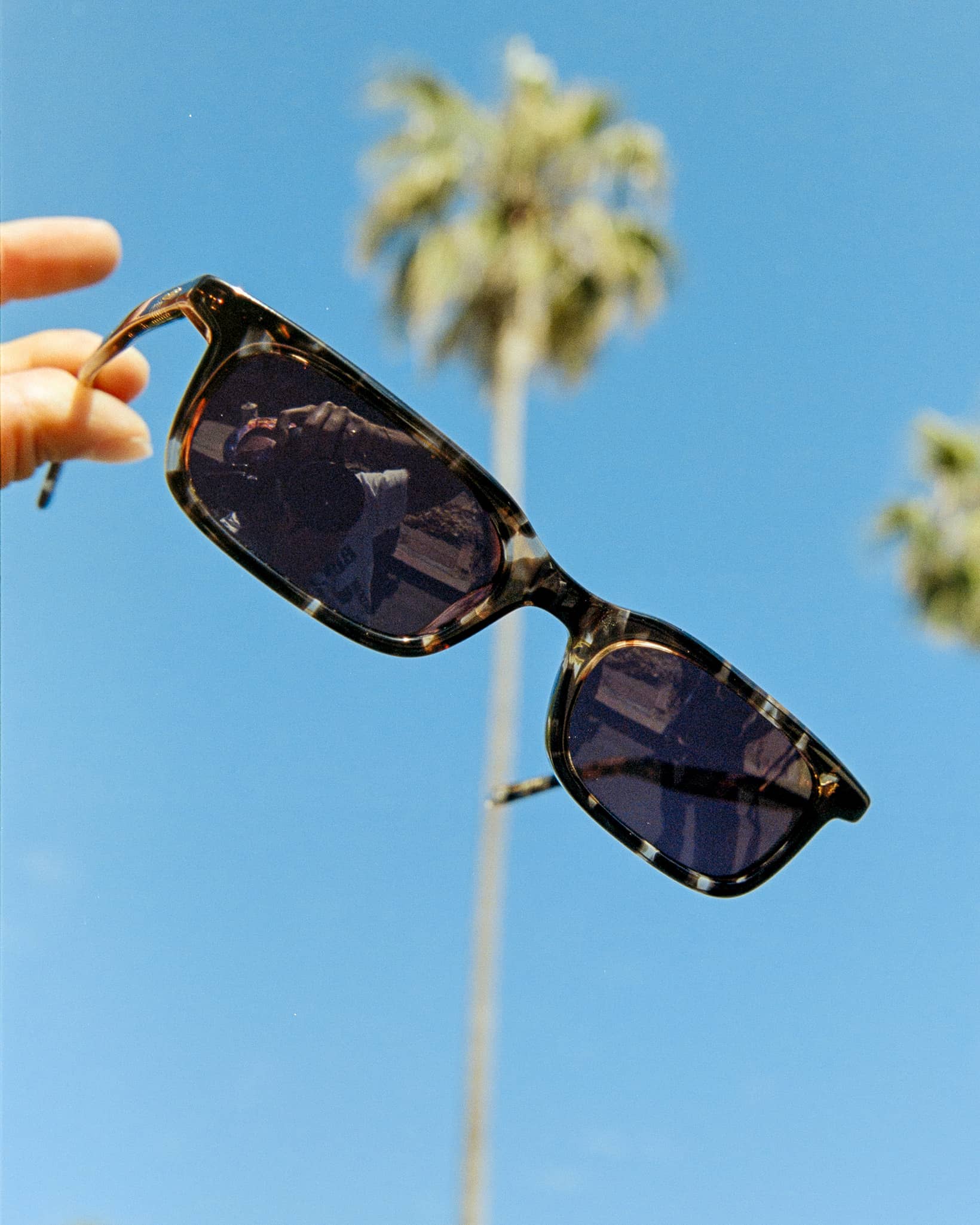 The Idle Daze - Desert Tortoise Bio Polarized-The Idle Daze - Desert Tortoise Bio Polarized-5