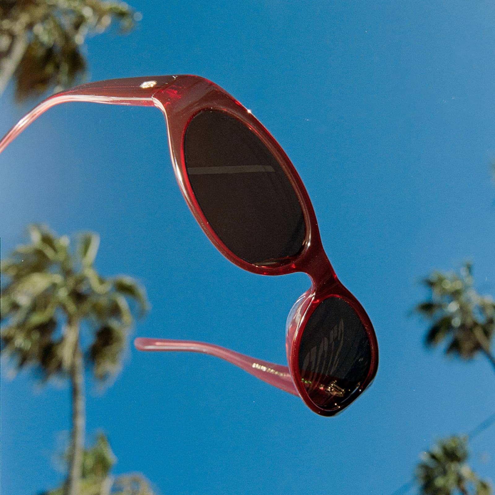 Crap® Eyewear | The Mini Funk Black Cherry Red Bio Wraparound