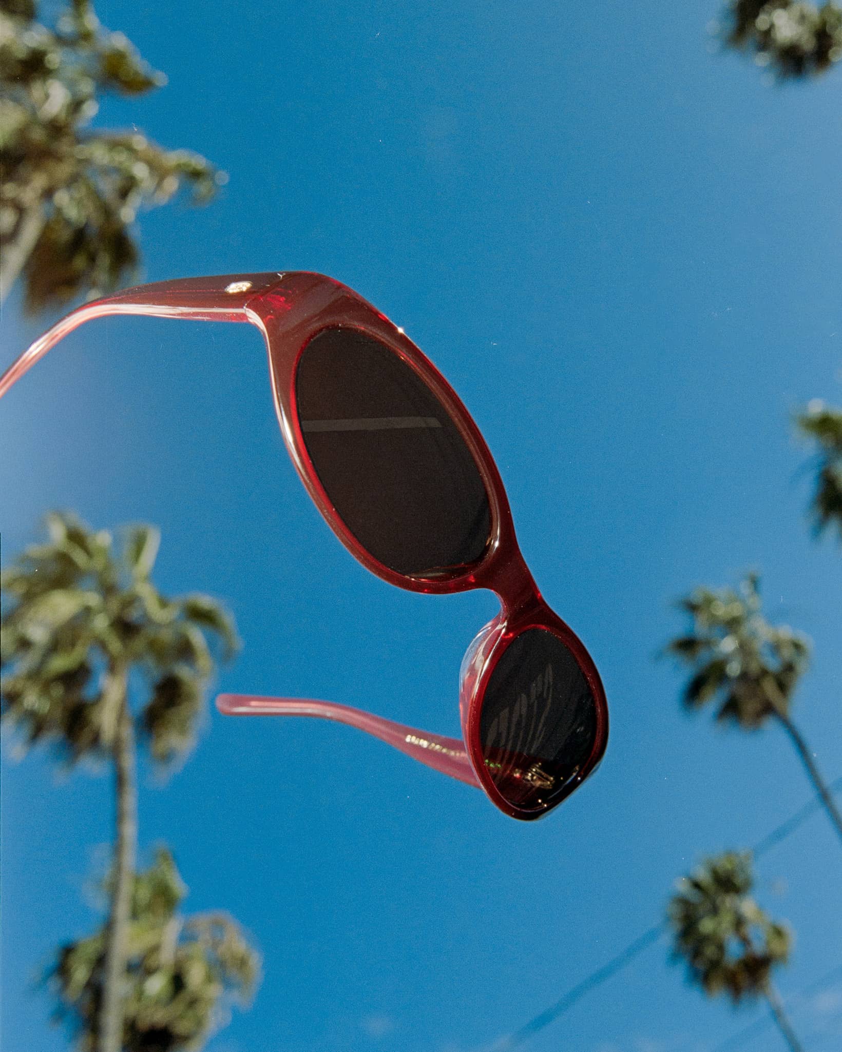 Crap® Eyewear | The Mini Funk Black Cherry Red Bio Wraparound