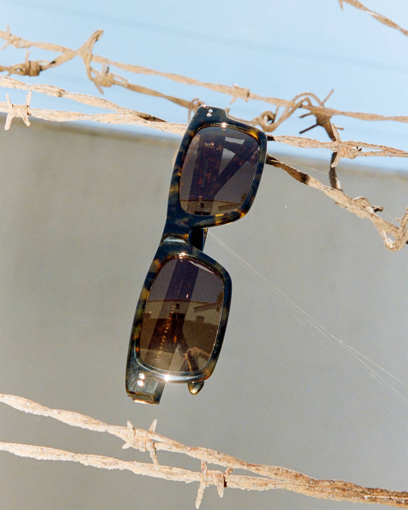 The Good Bad - Dark Tortoise Bio Polarized-The Good Bad - Dark Tortoise Bio Polarized-6
