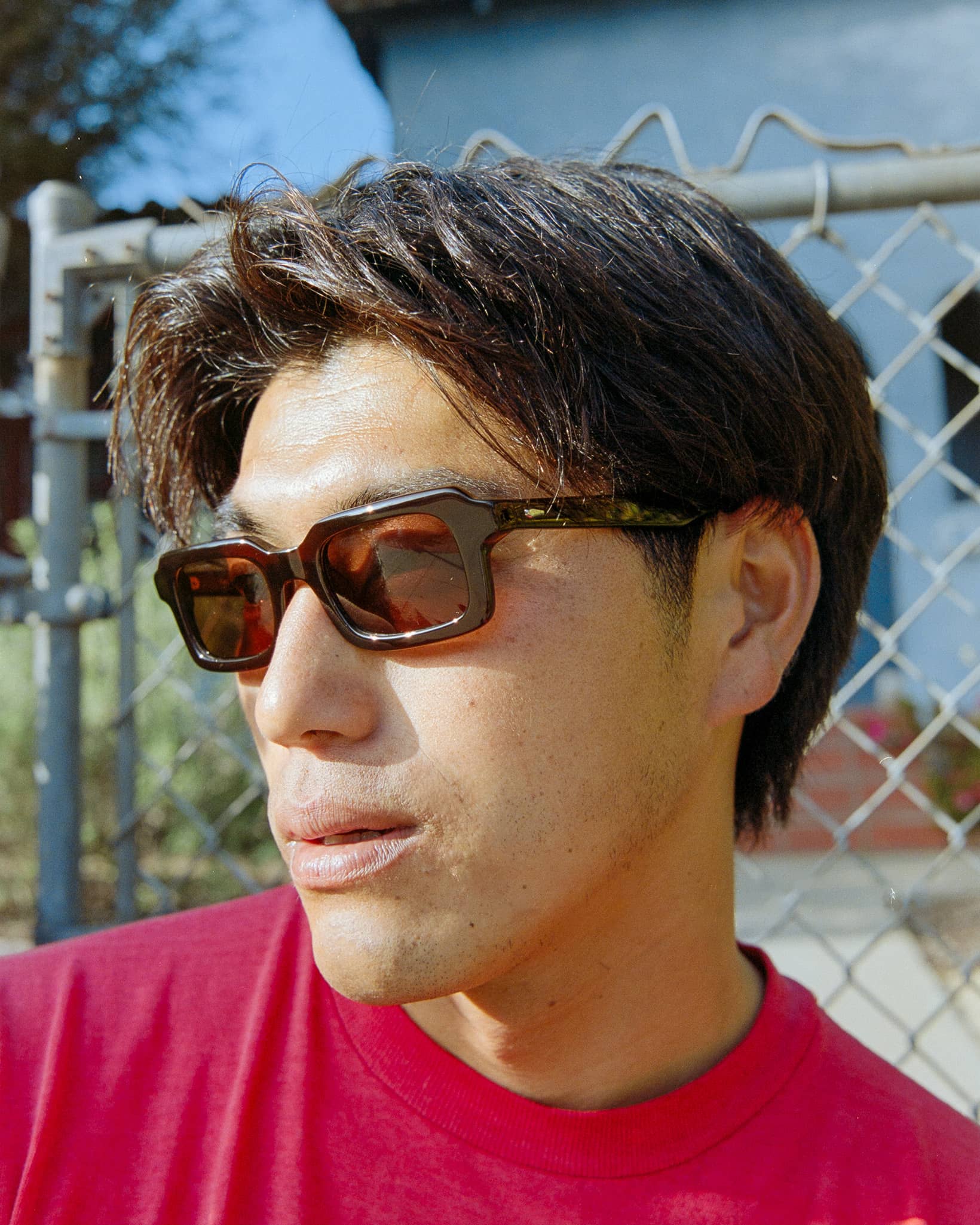 -The Lucid Blur - Crystal Cola Bio-6