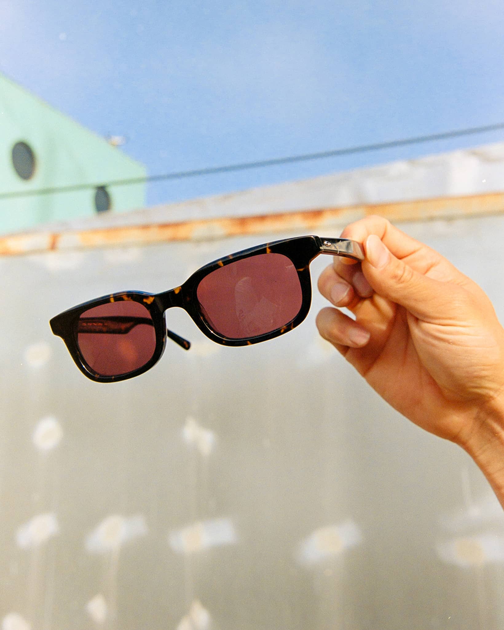 -The Pop Control - Dark Tortoise Bio Polarized-8