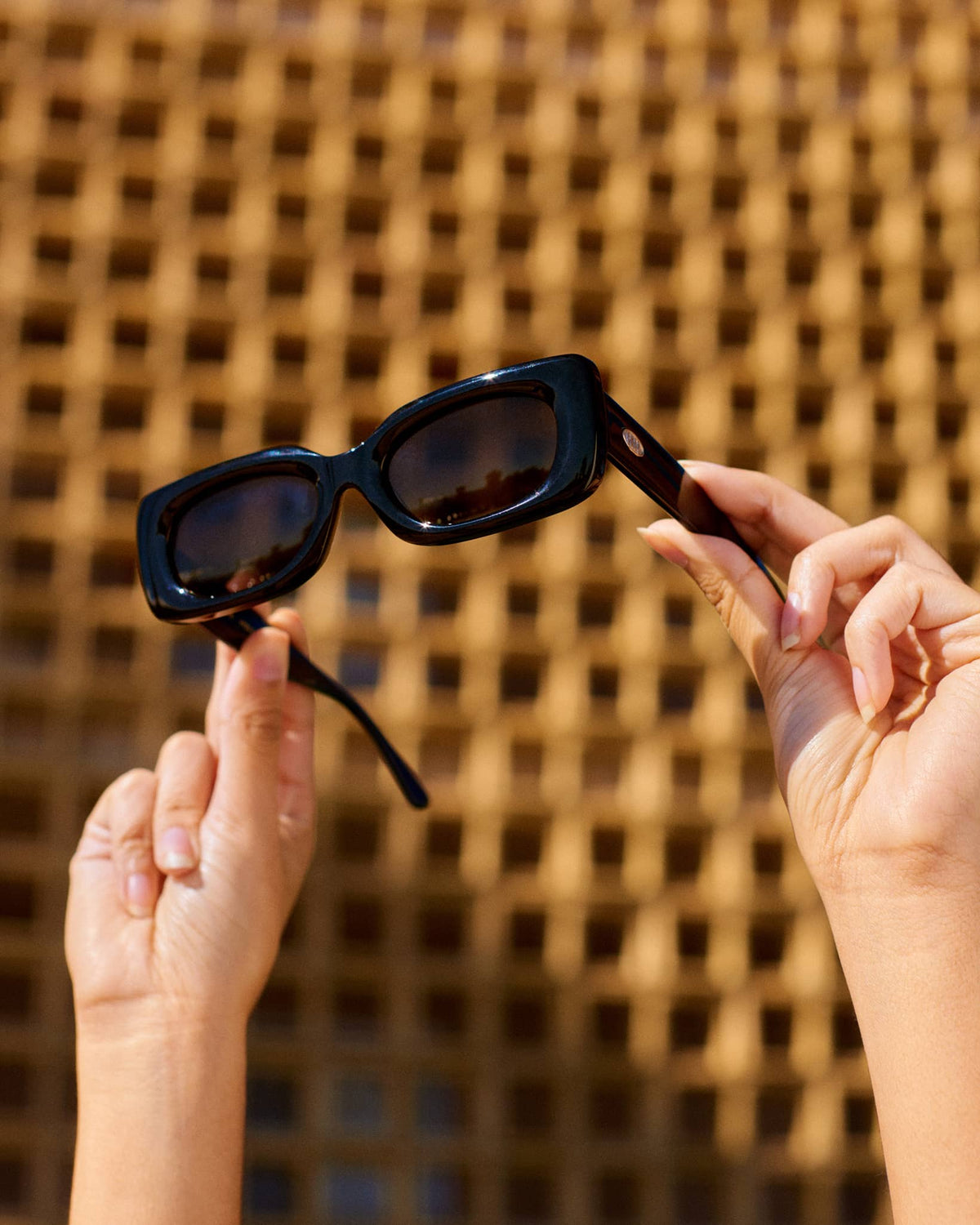 Crap Eyewear The Supa Phreek Black Bioacetate Square Sunglasses