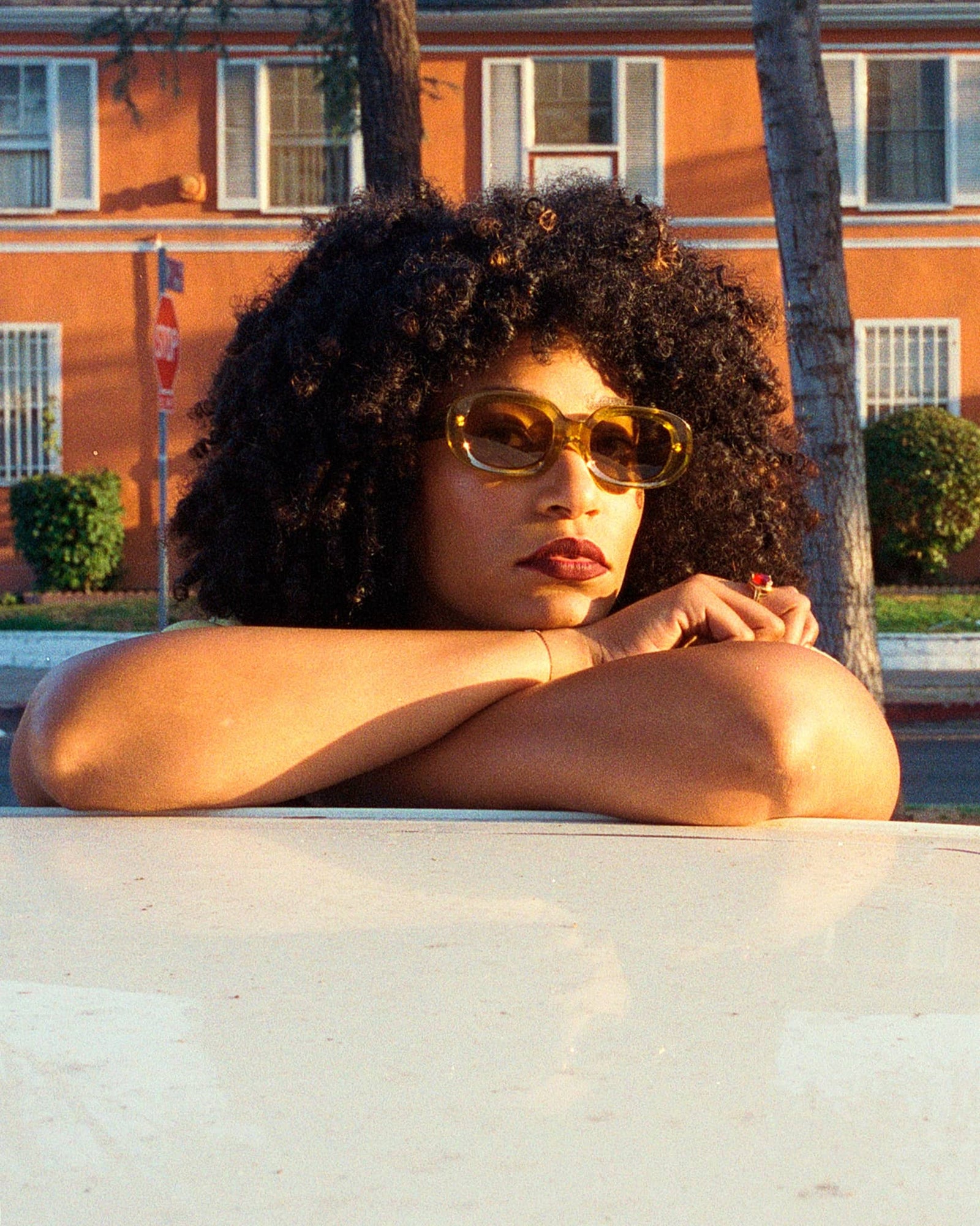 -The Bikini Vision - Crystal Kelp Bio-7
