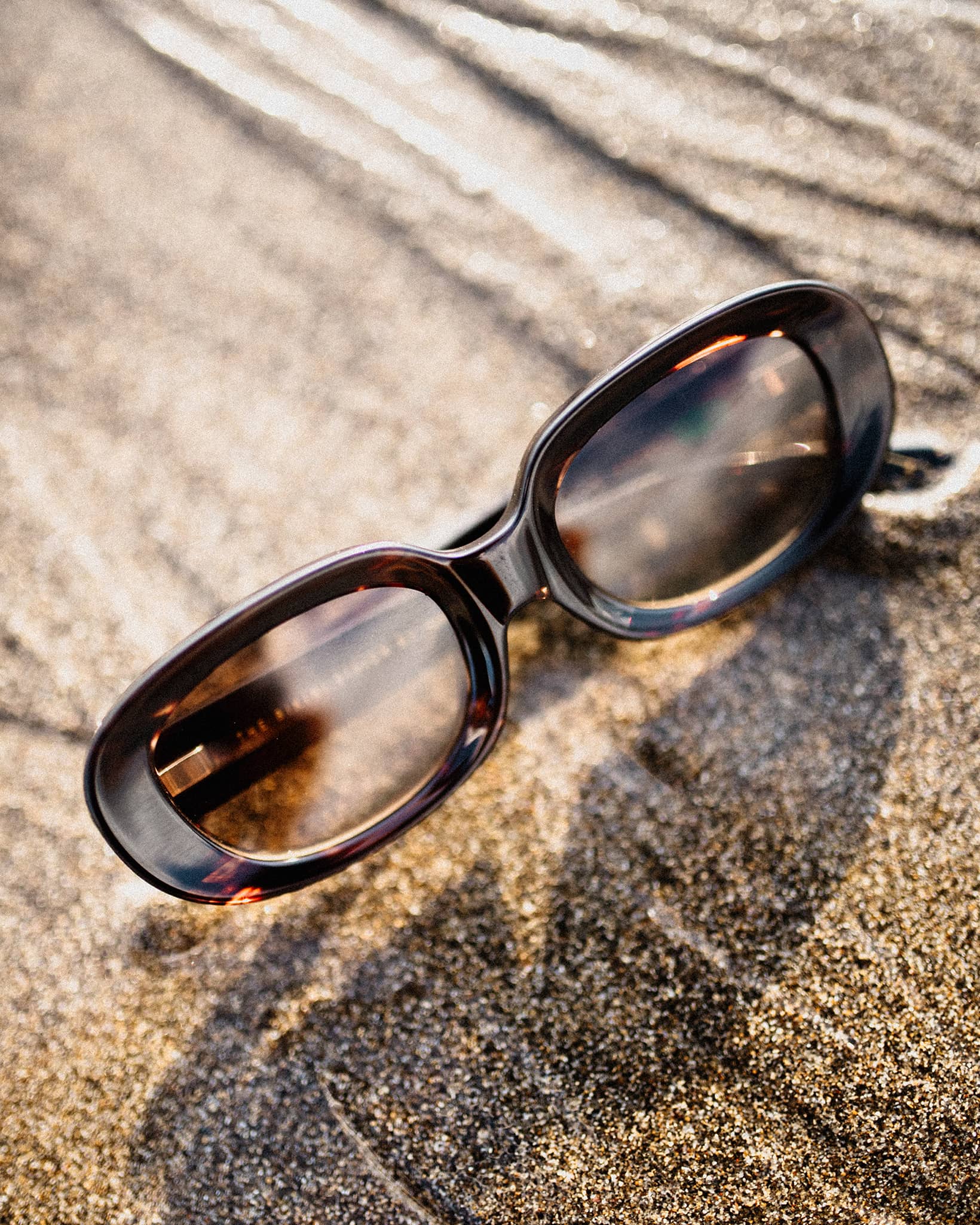 The Bikini Vision - Dark Demi Bio Polarized