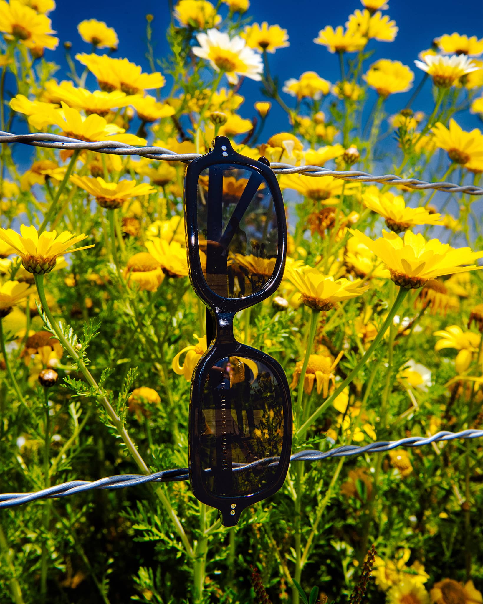 The Dream Cassette - Black Bio Polarized-The Dream Cassette - Black Bio Polarized-6