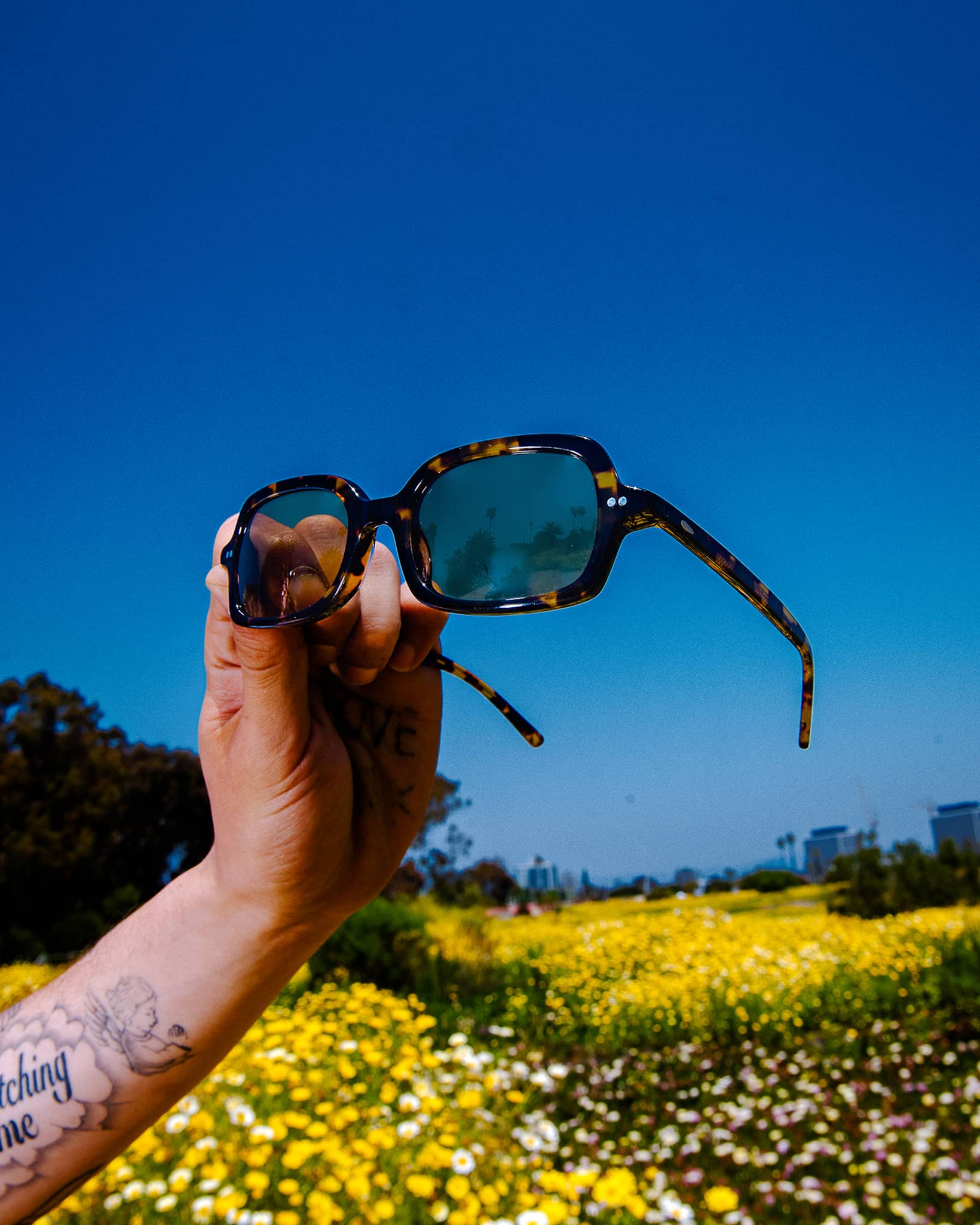 The Dream Cassette - Lunar Tortoise Bio Polarized