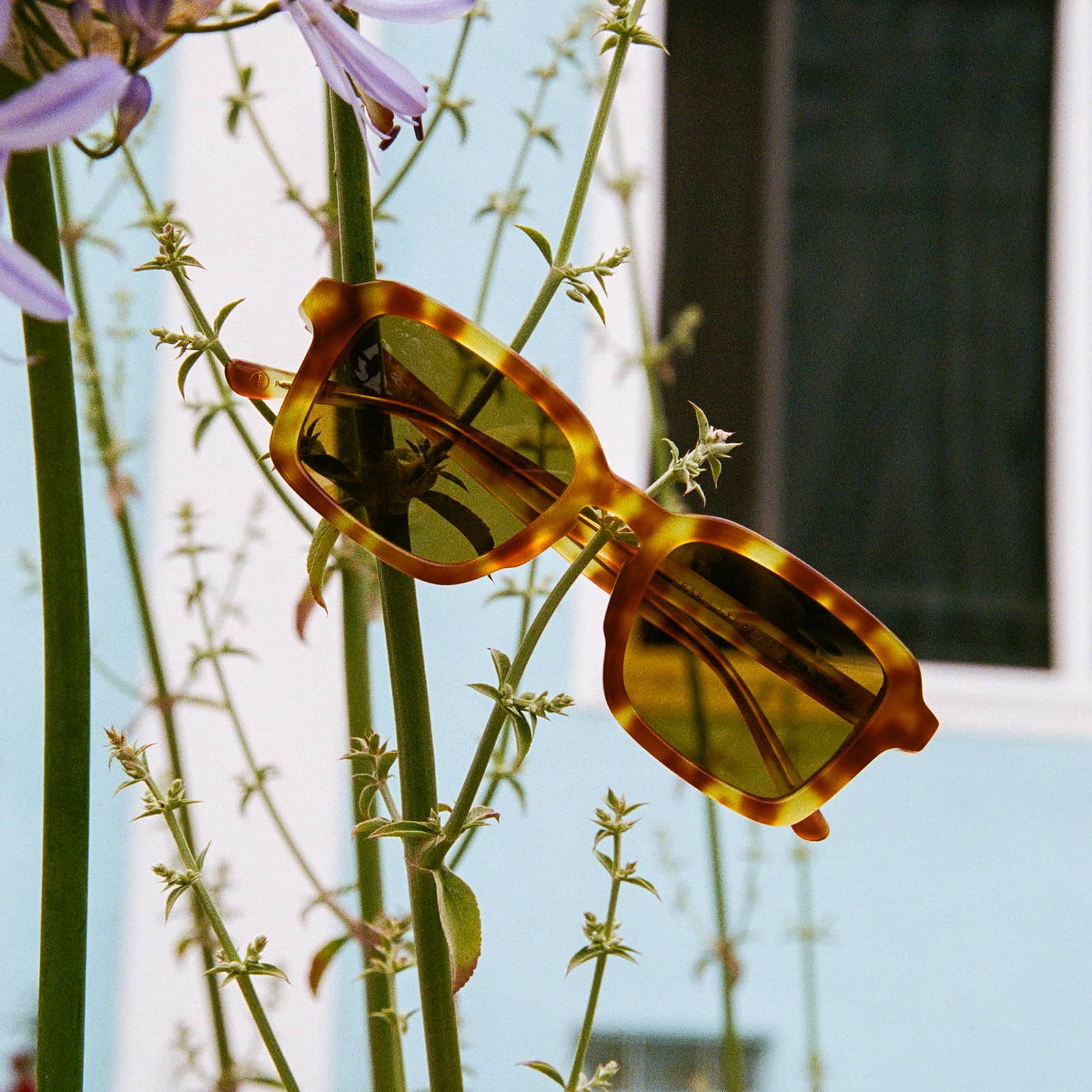 The Heavy Tropix - Blonde Tortoise Polarized | Crap Eyewear | Unisex Sunglasses