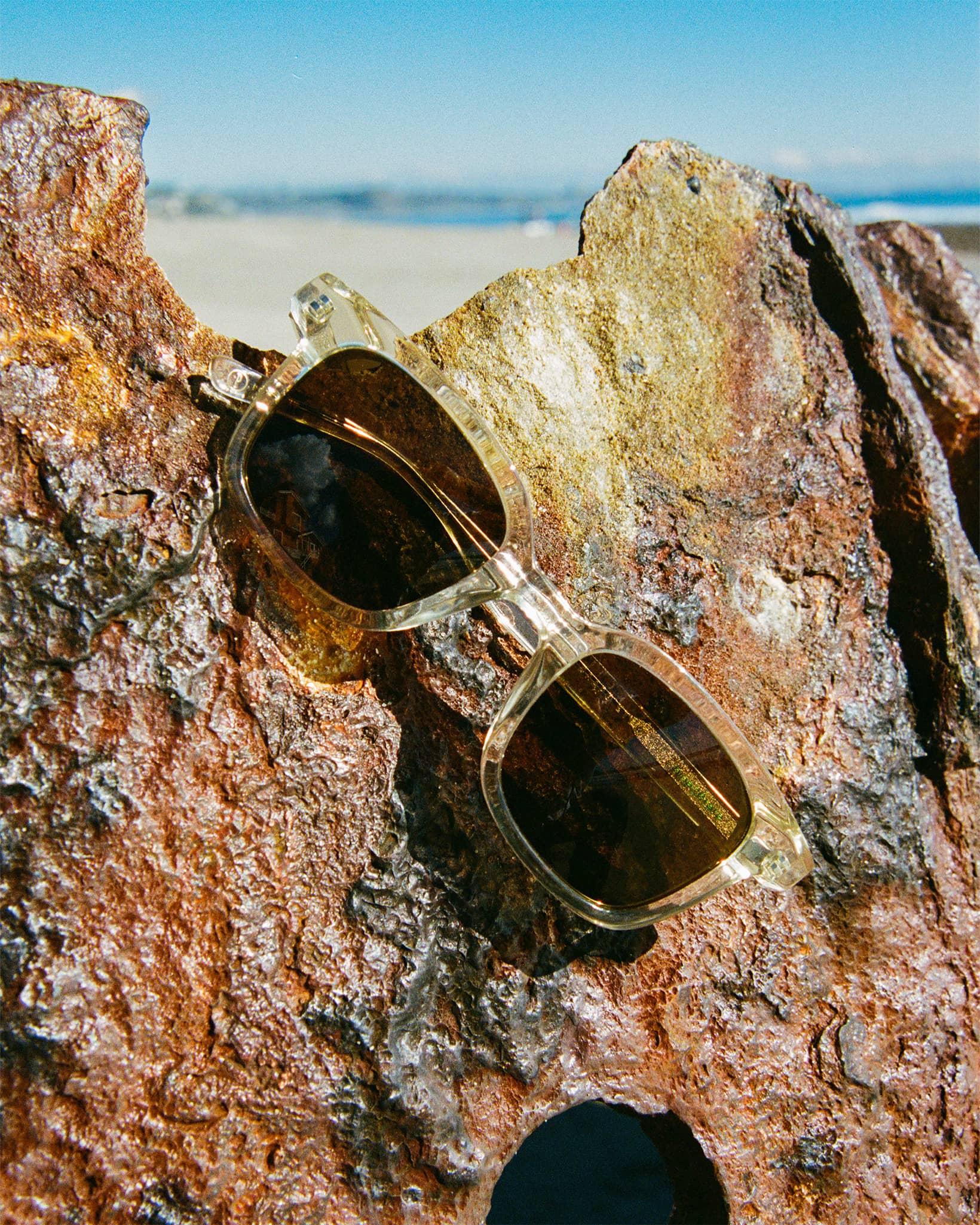 The Dropout Boogie - Crystal Champagne Bio Polarized-The Dropout Boogie - Crystal Champagne Bio Polarized-5