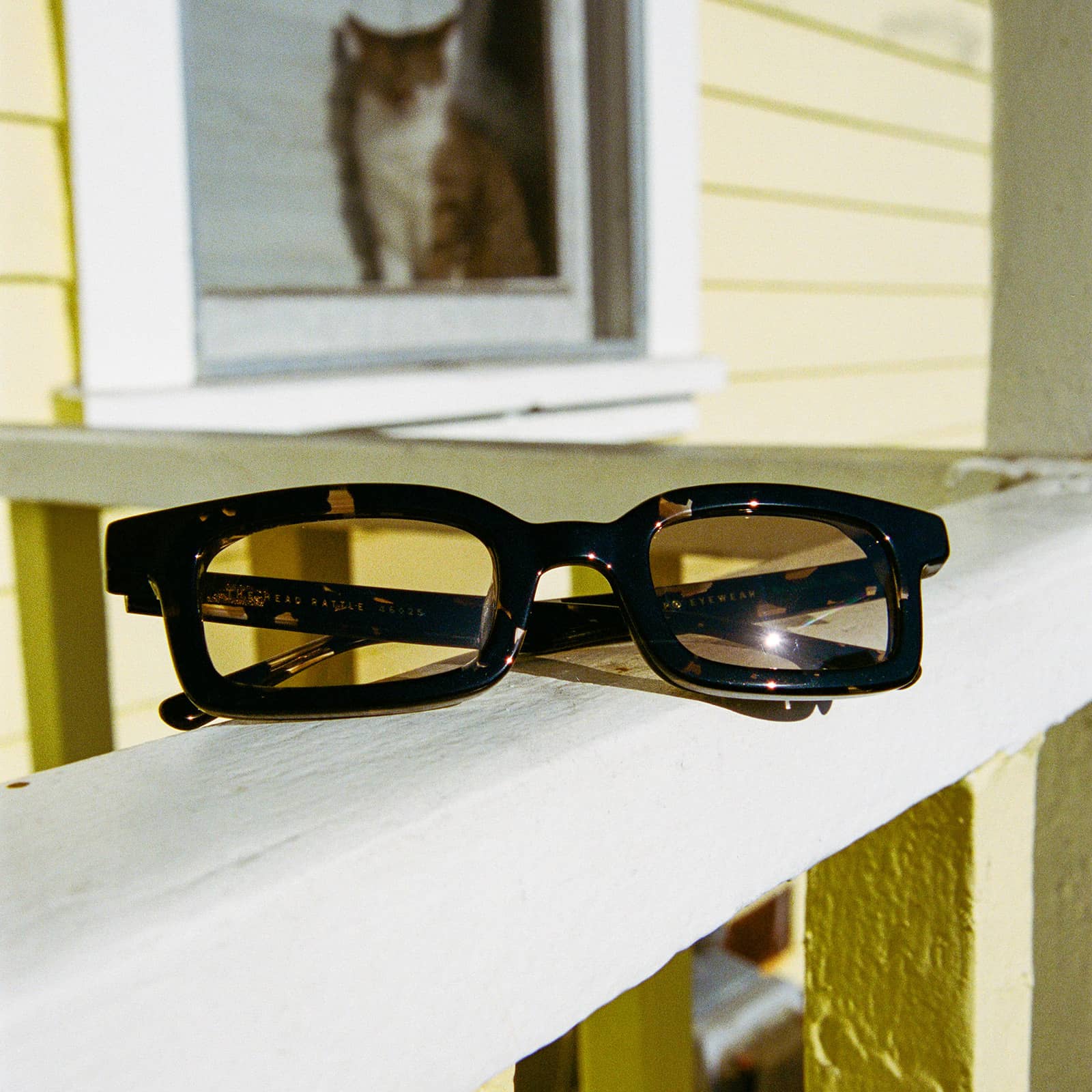 Crap® Eyewear The Head Rattle Black Tortoise Bioacetate Sunglasses