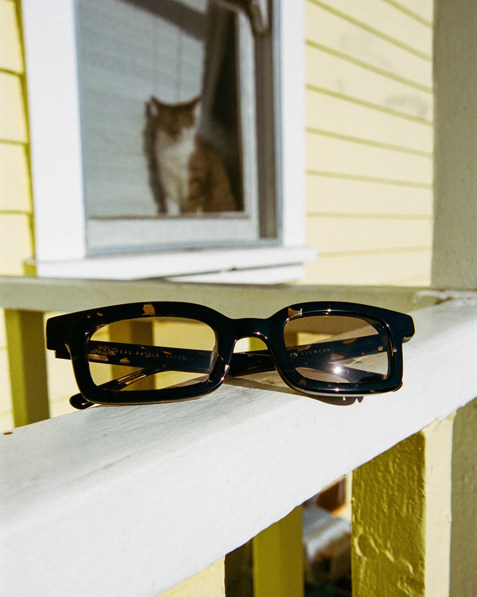 -The Head Rattle - Black Tortoise Bio-5