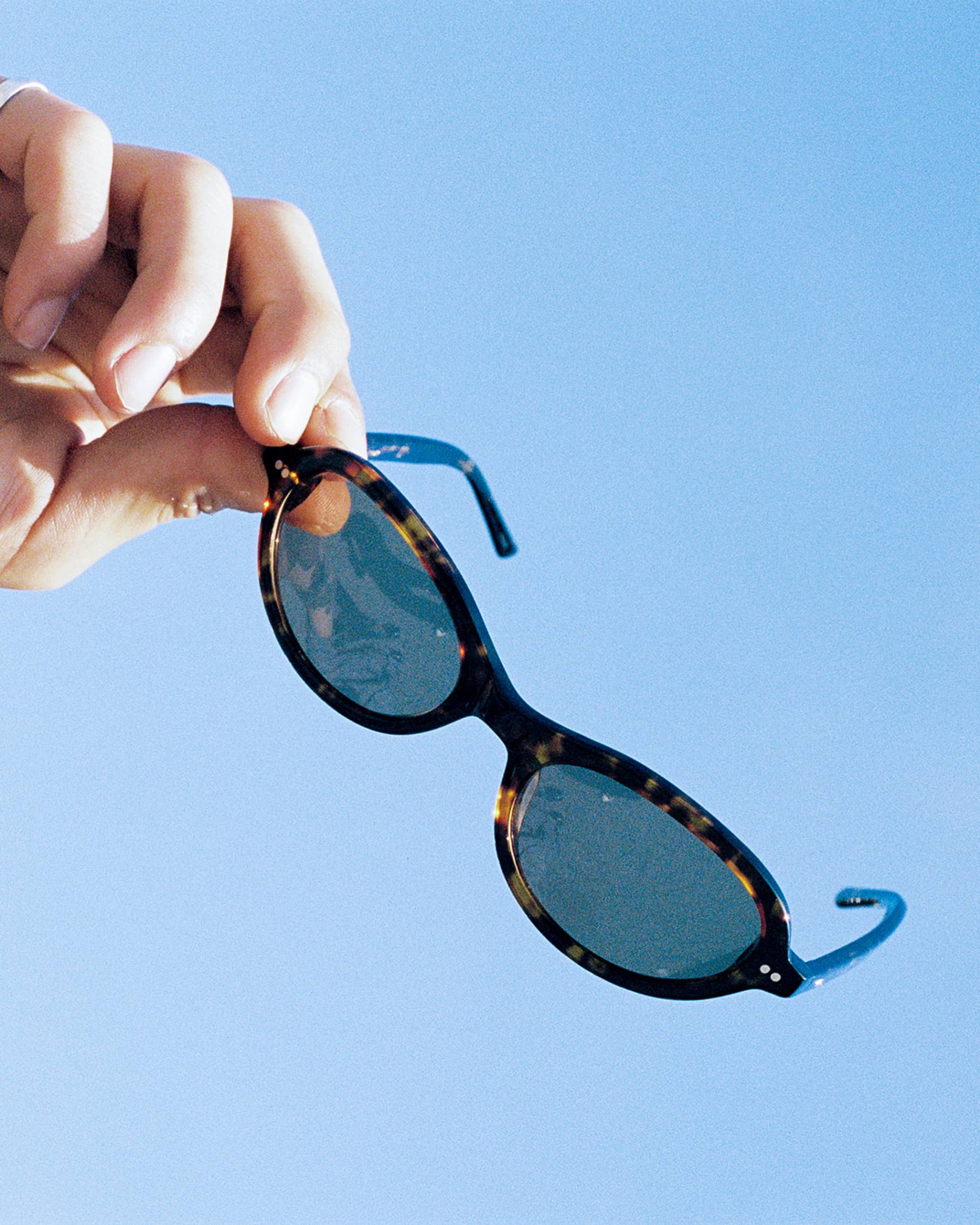 -The Marquee Rox - Dark Tortoise Bio-7