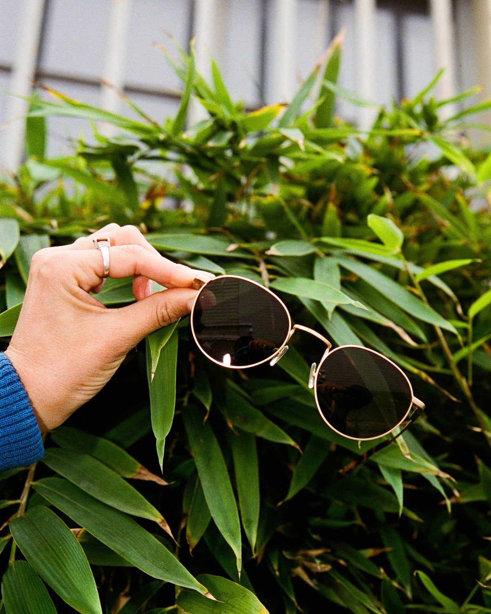 -The Tuff Patrol - Gold Polarized-6
