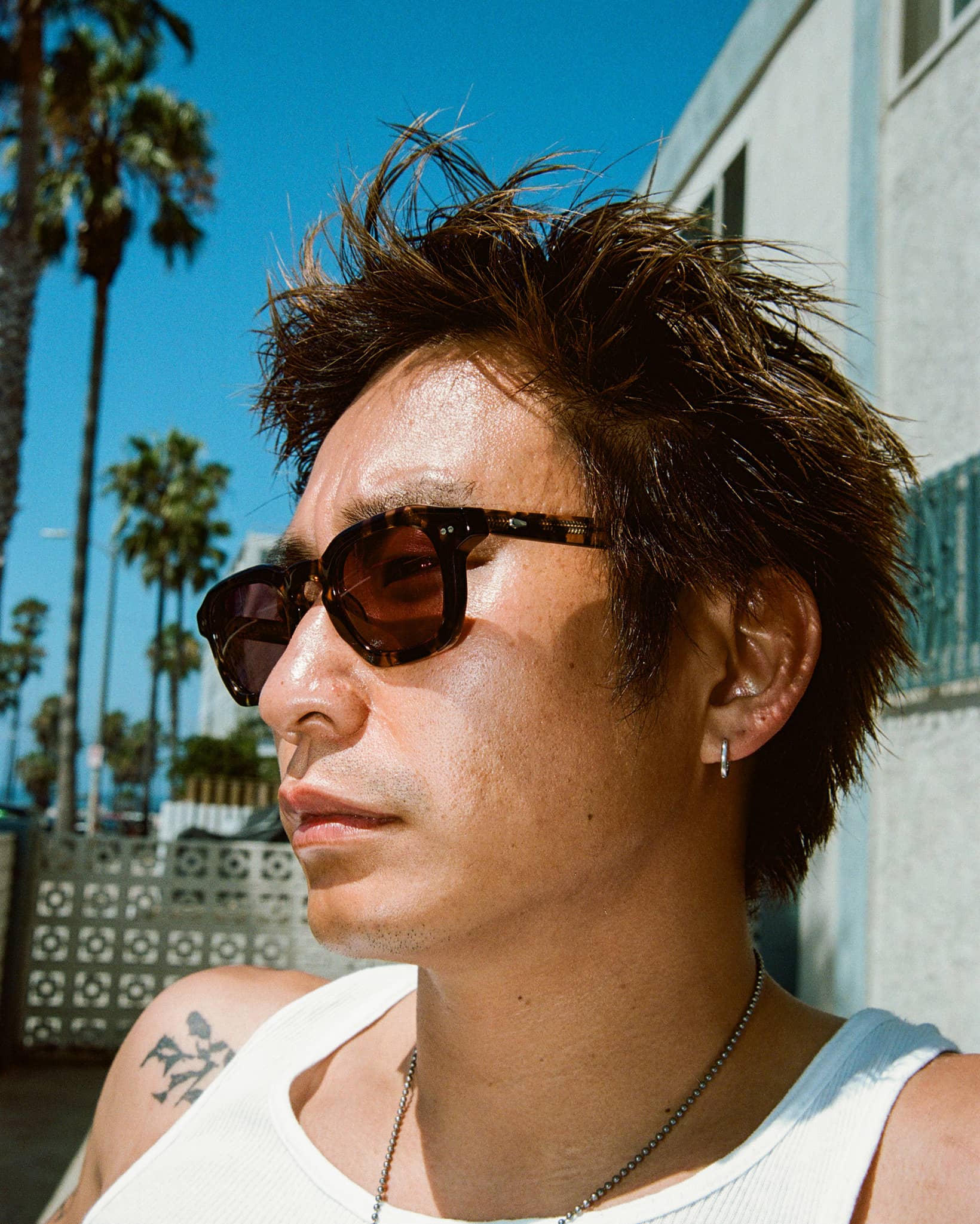 The No Wave - Desert Tortoise Bio Polarized-The No Wave - Desert Tortoise Bio Polarized-3
