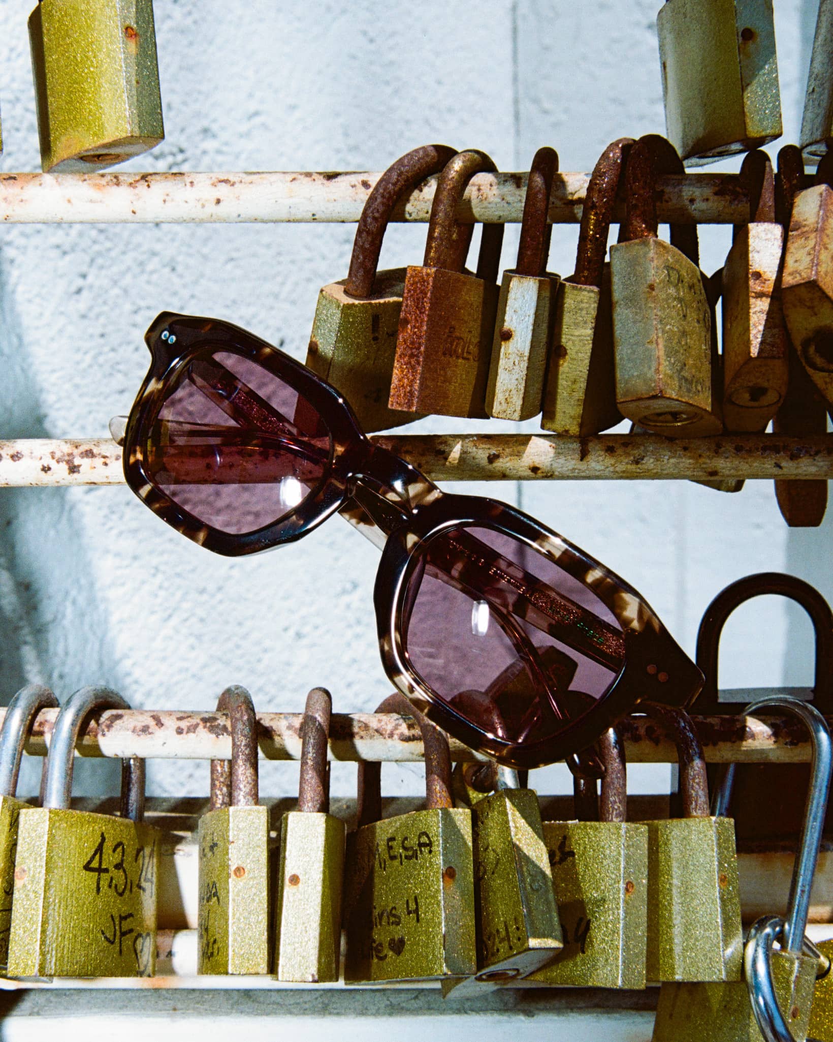 The No Wave - Desert Tortoise Bio Polarized-The No Wave - Desert Tortoise Bio Polarized-6