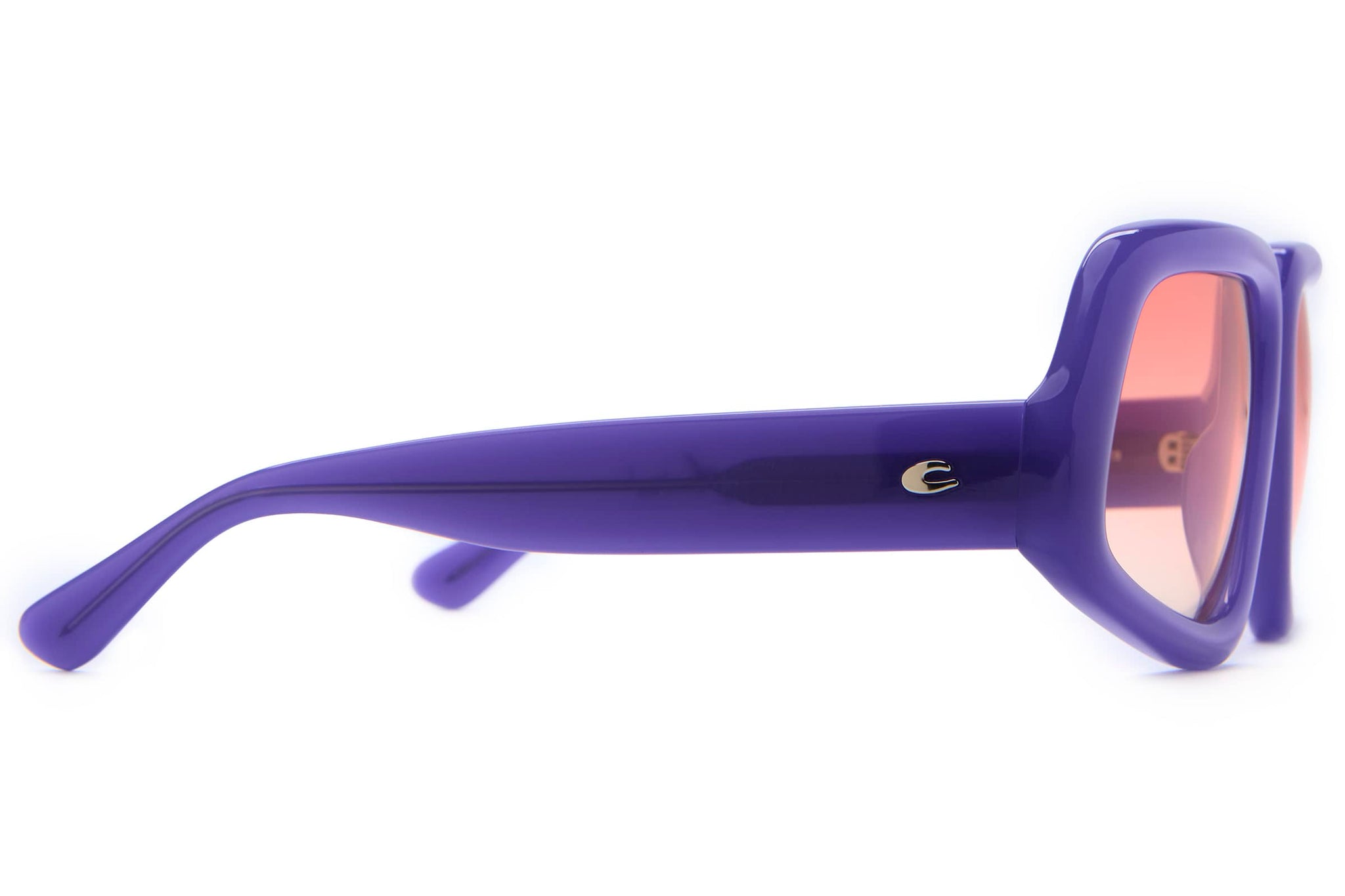 The Bugz by Aminé - Purple Plum Bio-The Bugz by Aminé - Purple Plum Bio-8