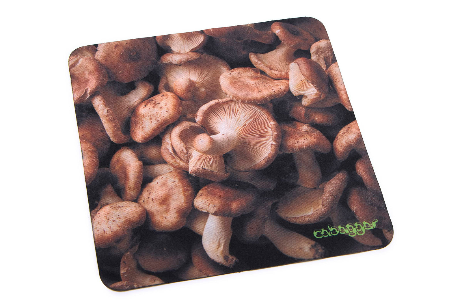 The Funk Punk - Cabagges Shiitake Bio-The Funk Punk - Cabagges Shiitake Bio-10