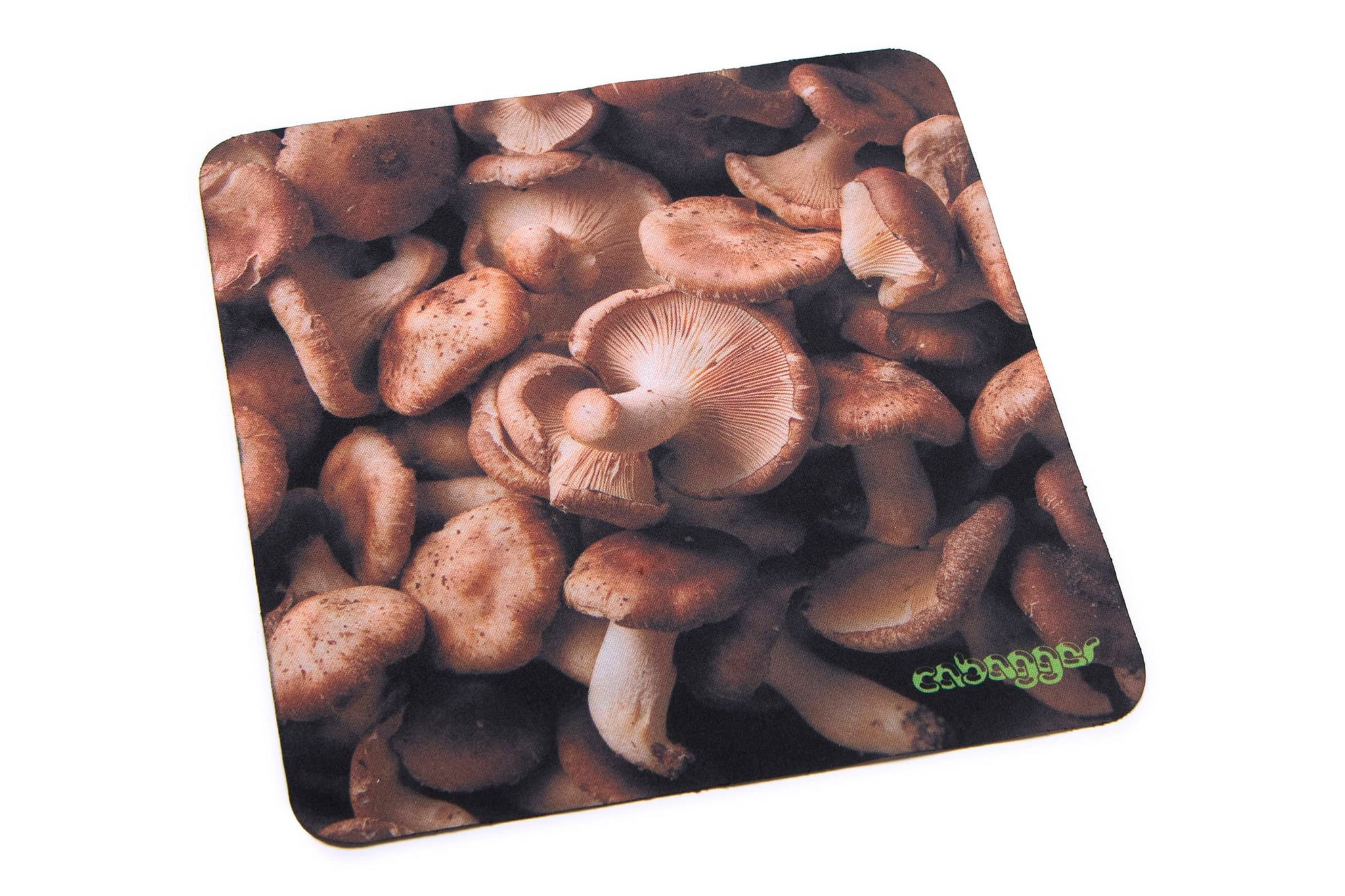 The Funk Punk - Cabagges Shiitake Bio-The Funk Punk - Cabagges Shiitake Bio-10