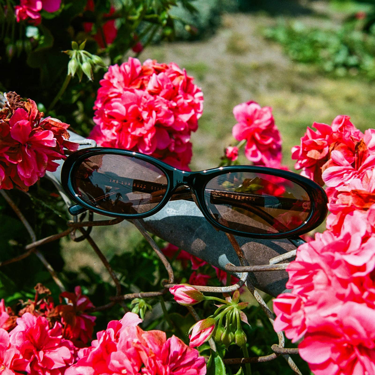 楽天市場】CRAP eyewear クラップアイウェア サングラス The