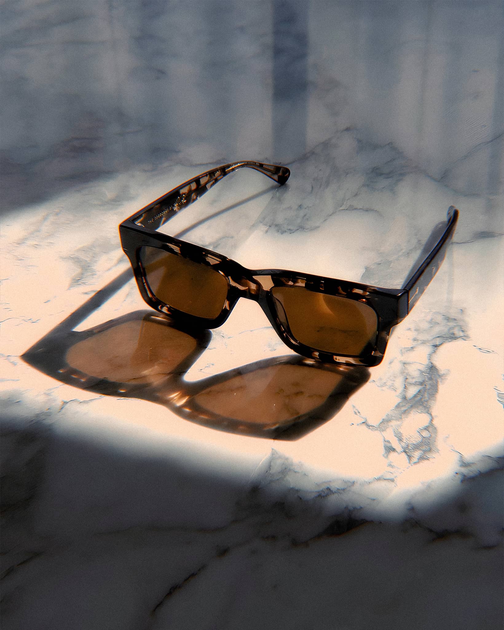The Speedway - Desert Tortoise Bio Polarized-The Speedway - Desert Tortoise Bio Polarized-7