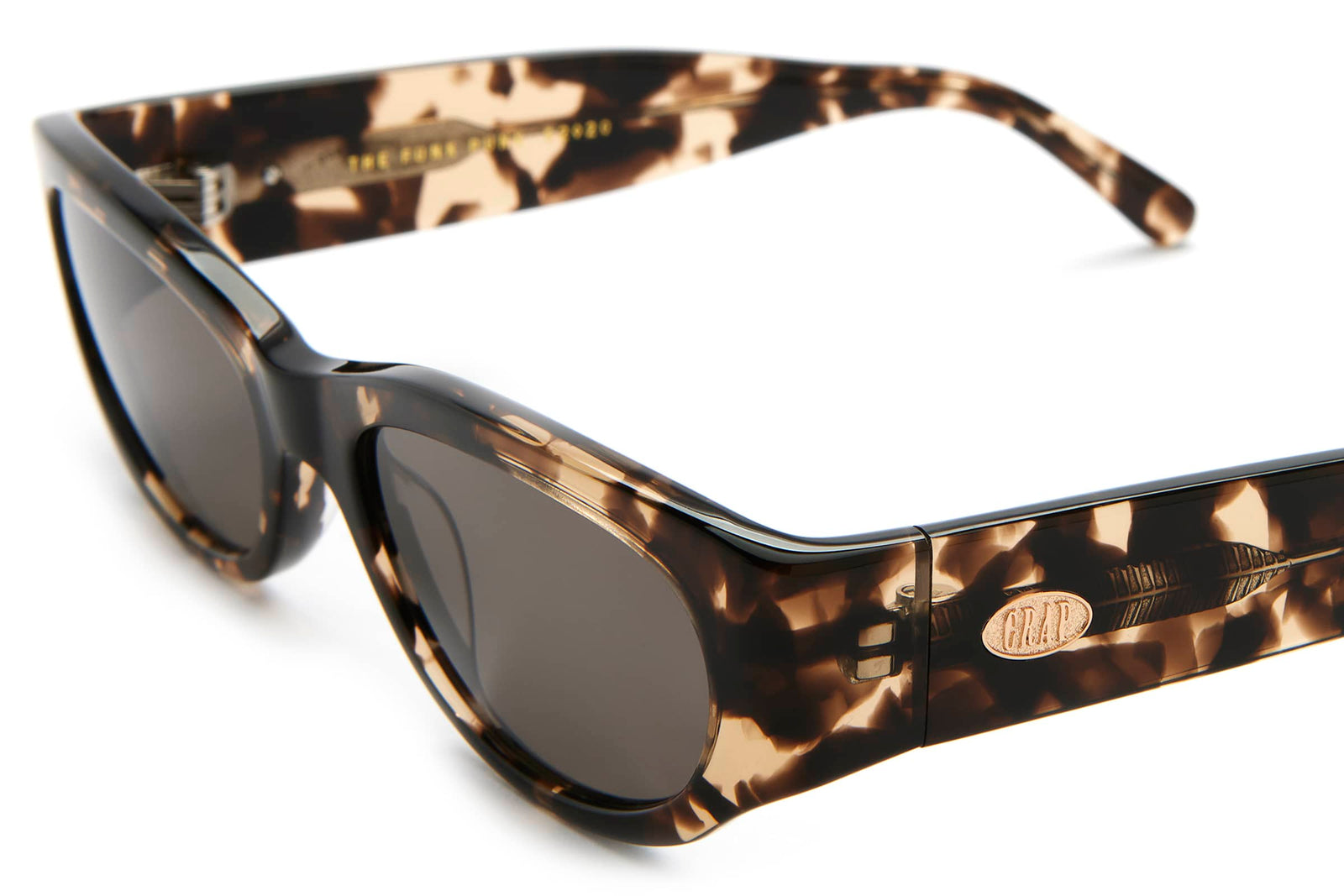 The Funk Punk - Desert Tortoise Bio Polarized-The Funk Punk - Desert Tortoise Bio Polarized-7