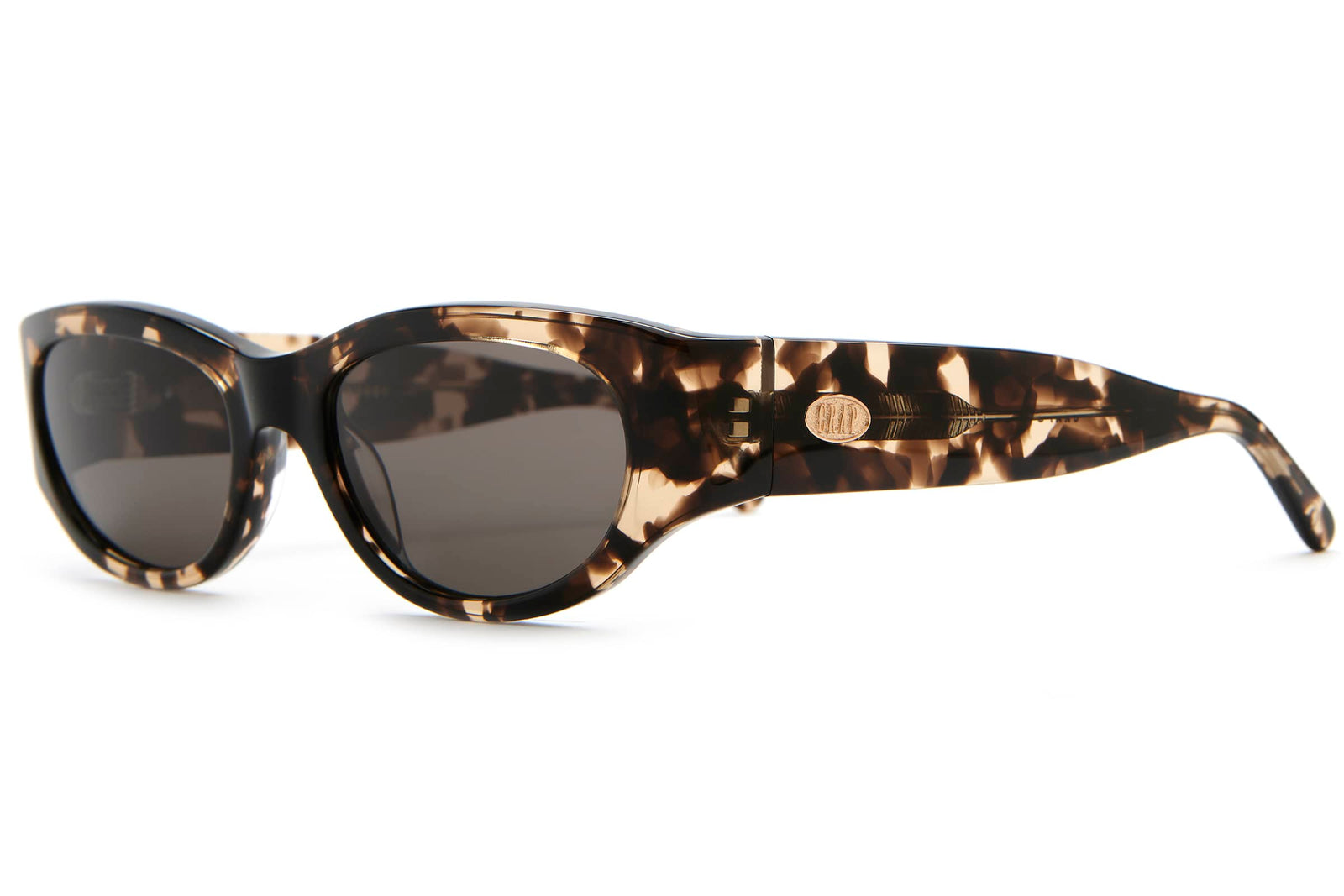The Funk Punk - Desert Tortoise Bio Polarized-The Funk Punk - Desert Tortoise Bio Polarized-2