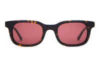 The Pop Control - Dark Tortoise Bio Polarized